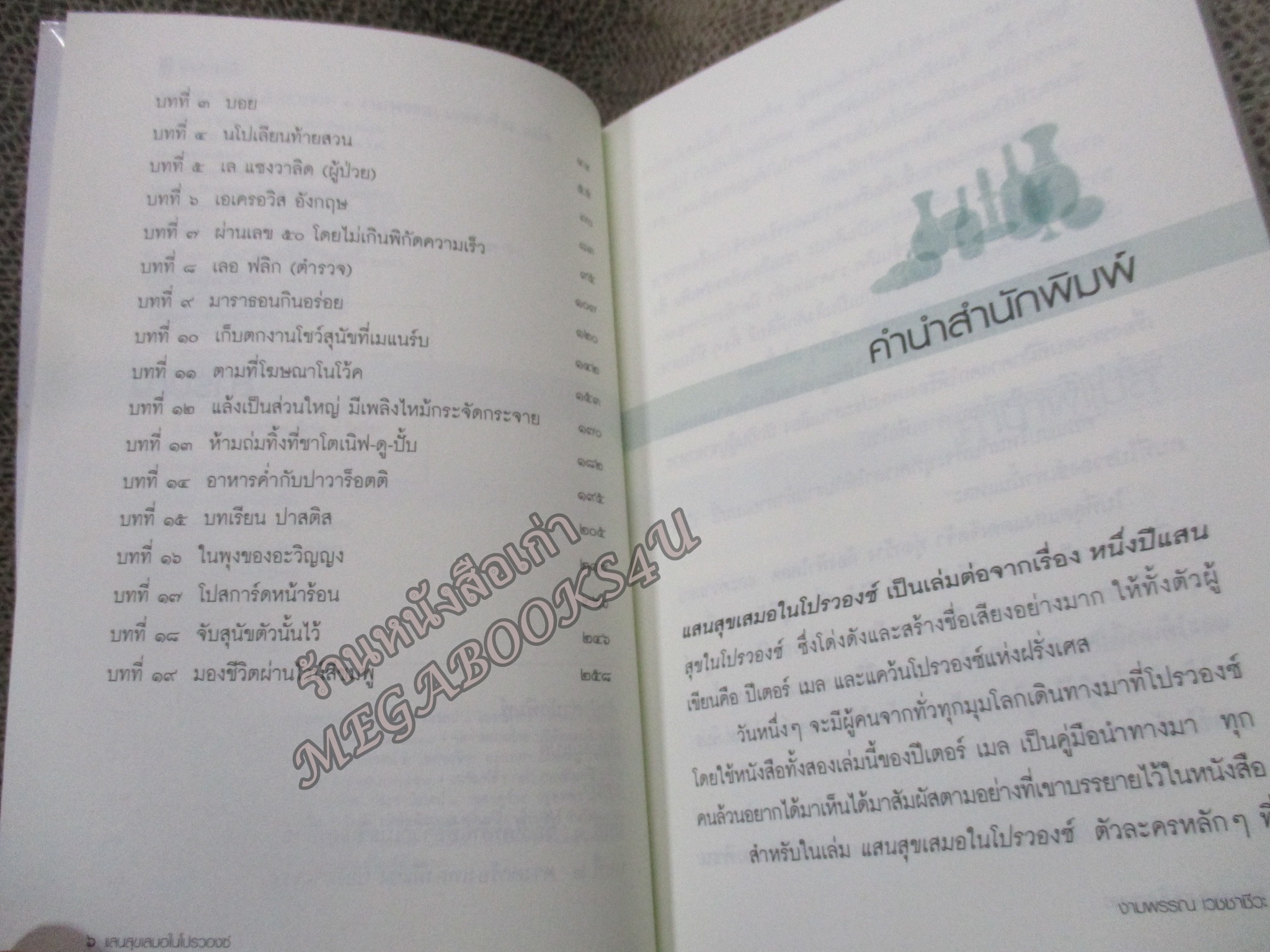 แสนสุขเสมอในโปรวองซ์ Toujours Provence - งามพรรณ เวชชาชีวะ