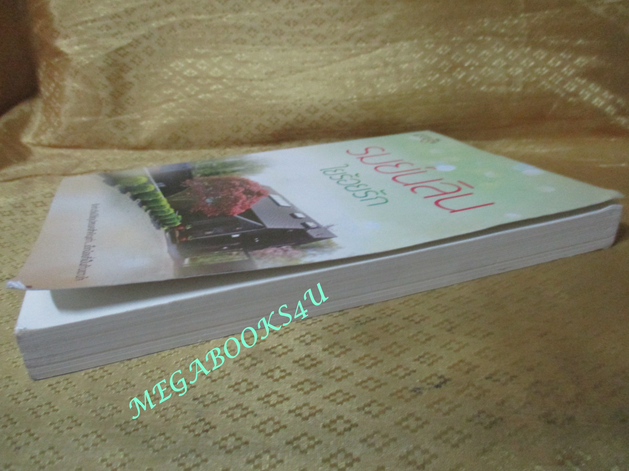 ใยร้อยรัก / รมย์นลิน / มายดรีม