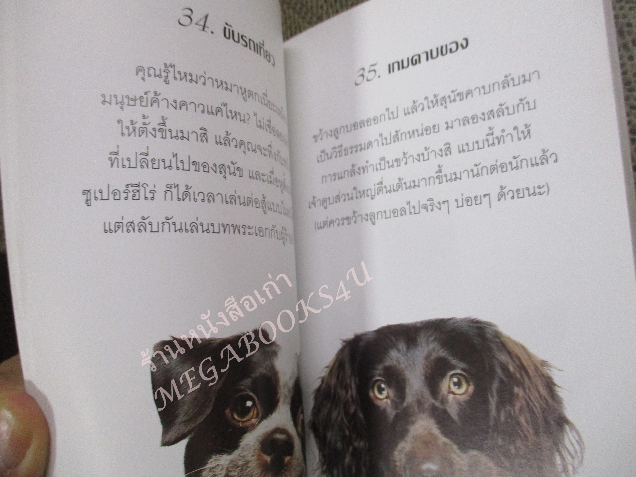 โปร3เล่ม100 / 97 วิธีมีความสุขกับหมายิ้ม/ เจนนี่ แลงเบห์น