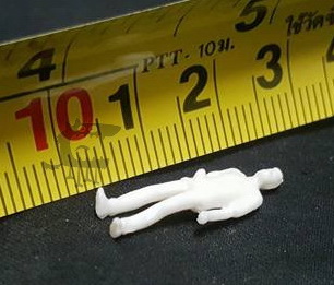 1/87 Scale บุคลจำลอง คละแบบ 11 Pcs./Pack