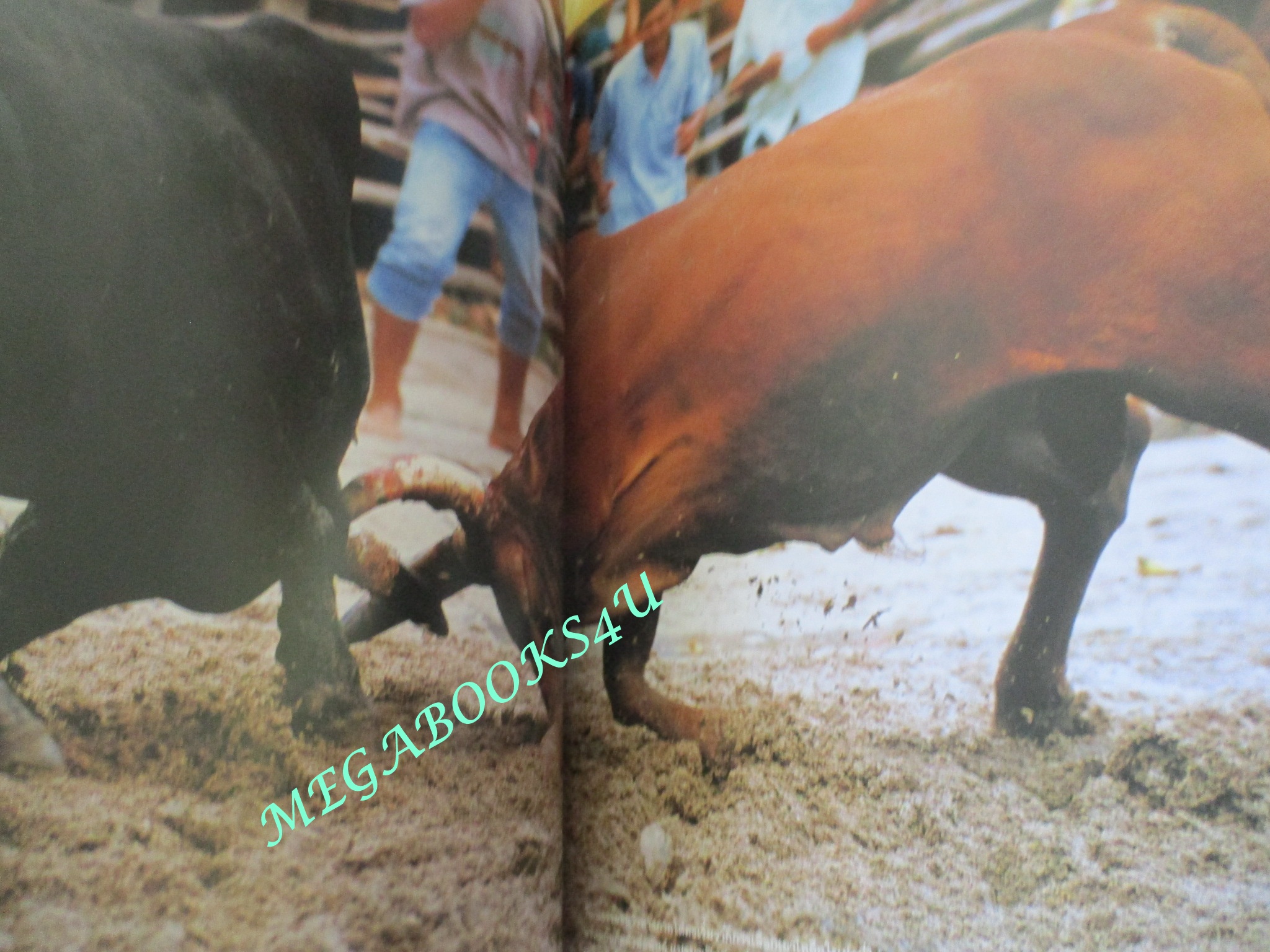 นิตยสารสารคดี ฉบับที่189 พ.ย 2543,หัวเชือกวัวชน,โรงไฟฟ้าประจวบ,72ปีประยูร อุลุชาฎะ, สภาพดี