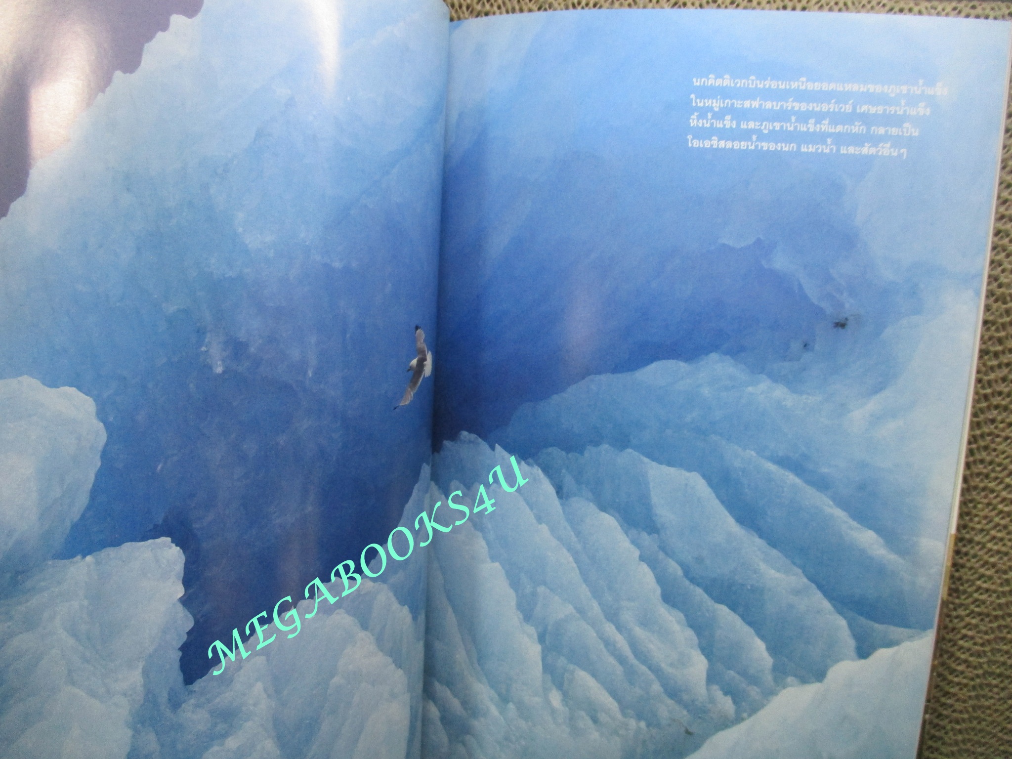 นิตยสาร เนชั่นแนลจีโอกราฟิก National Geographic ฉบับ071 2550 วิกฤติโลกร้อน หมอลำ