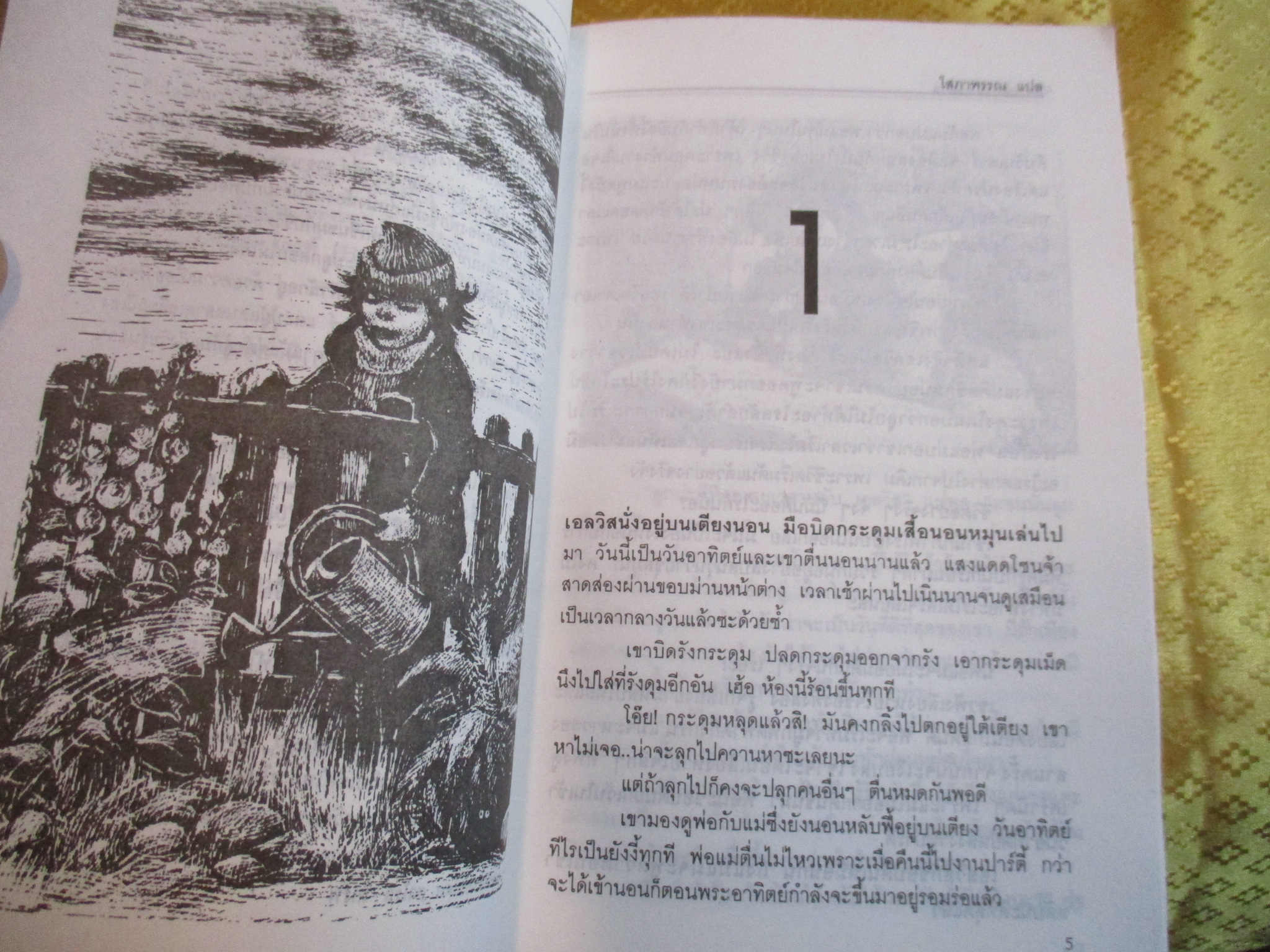ความลับของเอลวิส โดย มาเรีย ไกรพ์ แปลโดย โสภาพรรณ (วรรณกรรมเยาวชน)