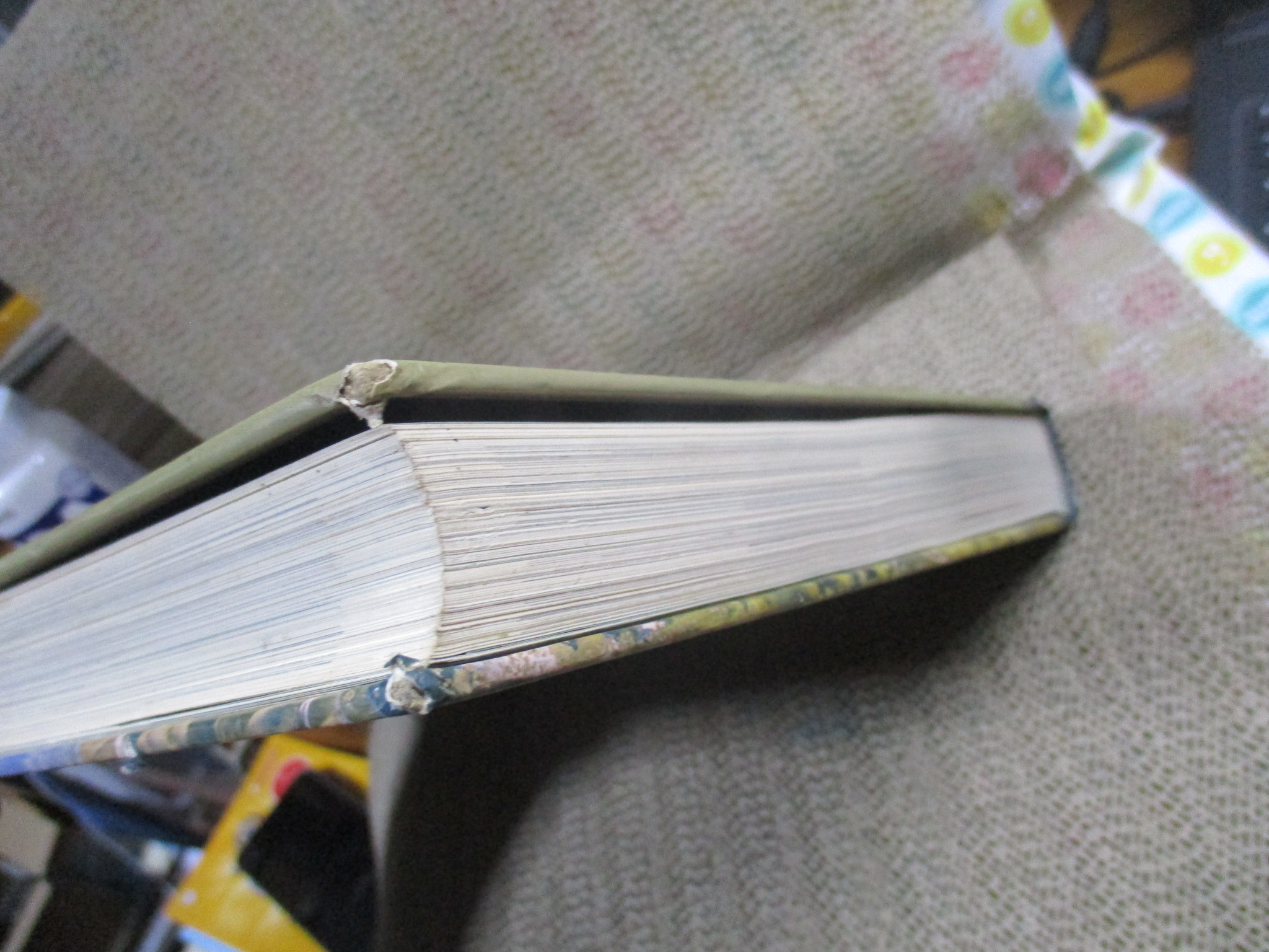 โลกพิสดาร แดนพิศวง / สนพ. รีดเดอร์ส ไดเจสท์ / สู่การท่องโลกครั้งยิ่งใหญ่ เพื่อค้นพบแดนมหัศจรรย์บนพิภพ