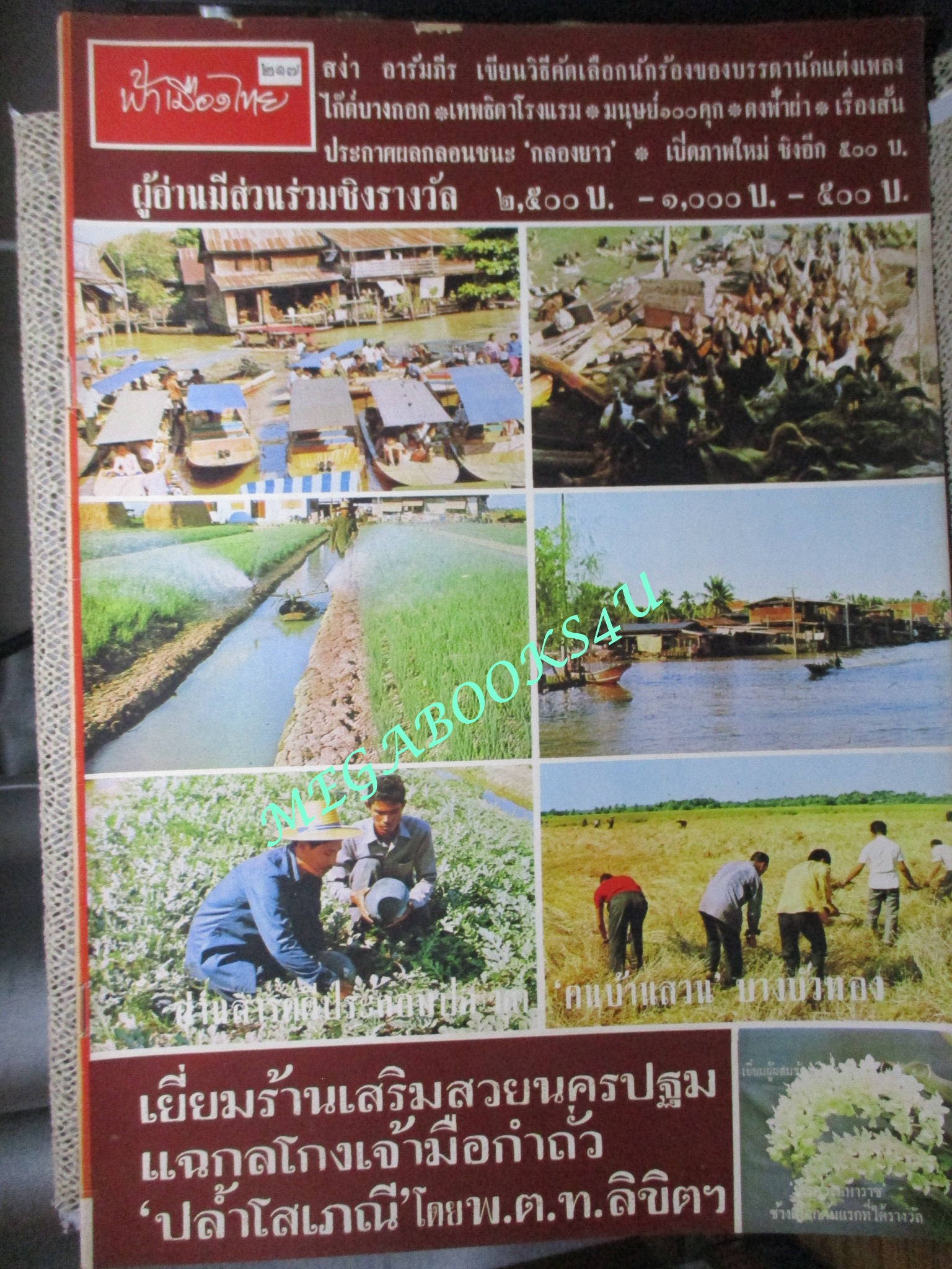 นิตยสารฟ้าเมืองไทย ฉบับ217 ปี2516 ปก คนบ้านสวนบางบัวทอง ตำหนิ สันปกมีรอยขาด ริมปกมีรอยกรอบ