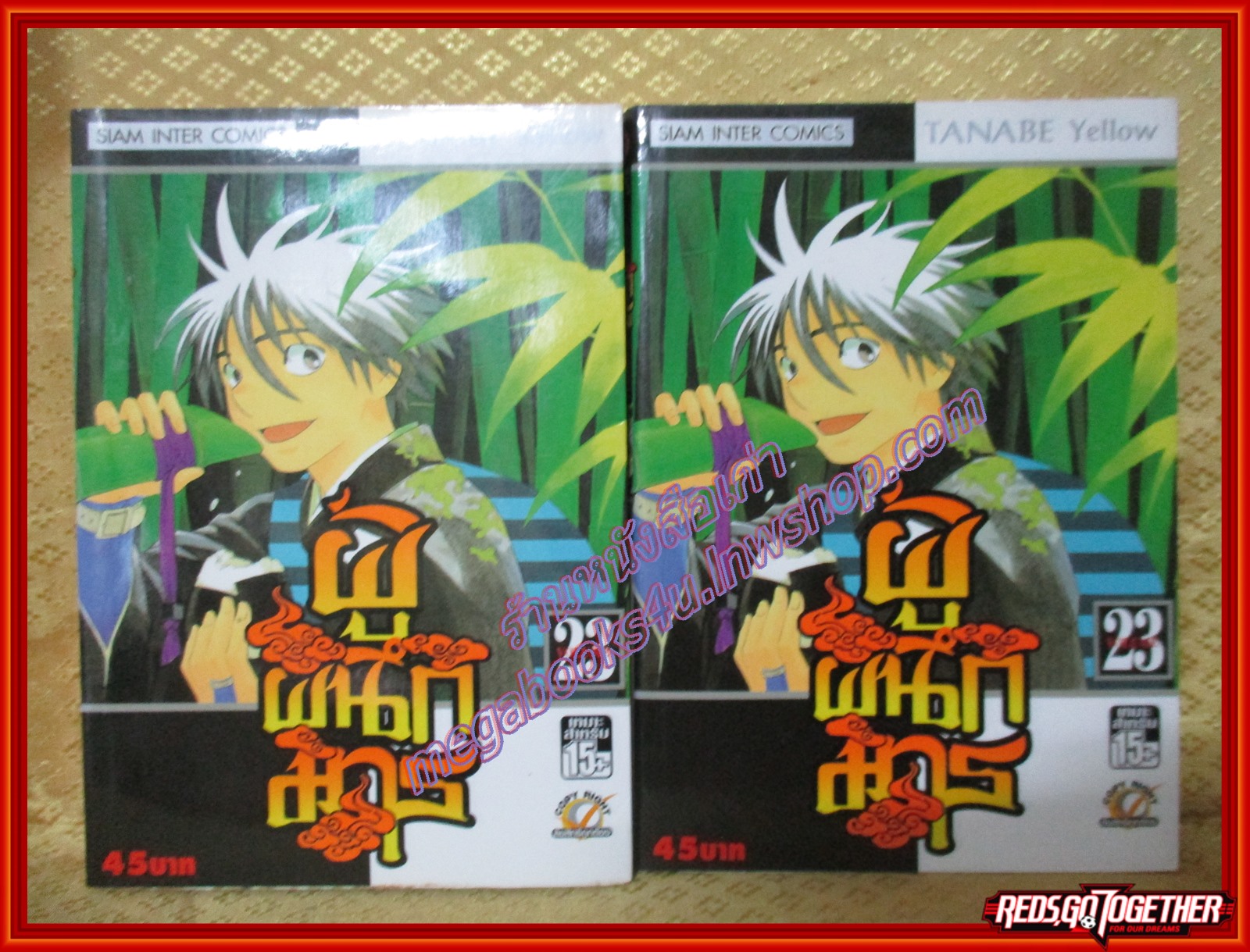 การ์ตูนบ้านแยกเล่ม ผู้ผนึกมาร เล่มที่23 โดย TANABE YELLOW สนพ.สยามฯ (35เล่มจบ)