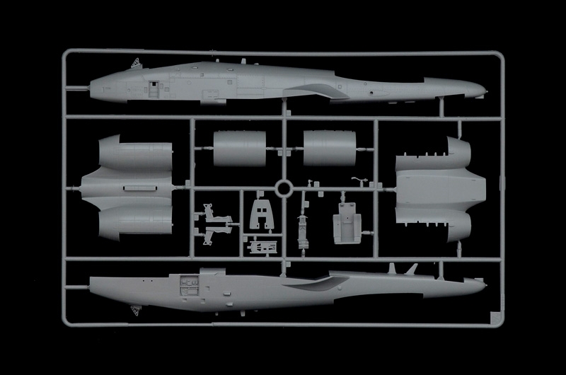 1/48 A - 10C ''Blacksnackes''