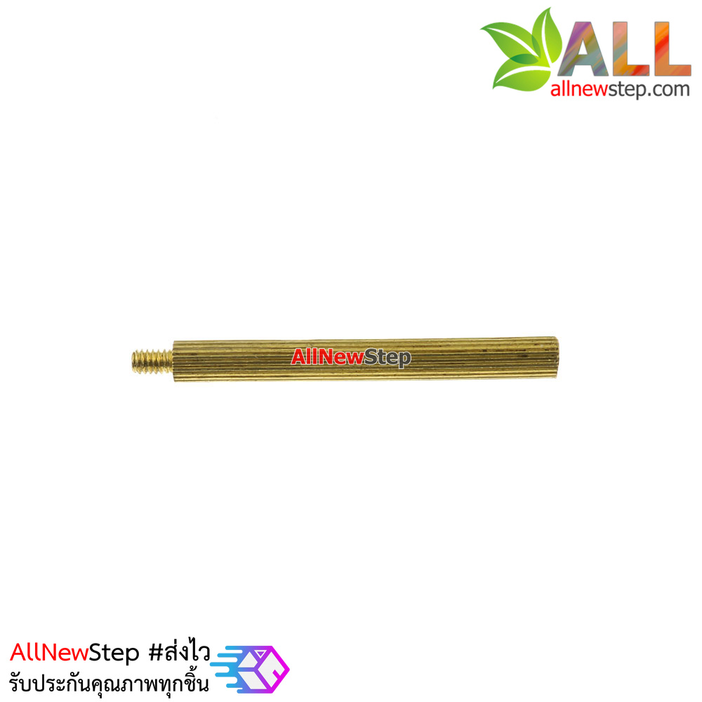 น็อตทองเหลือง NUT M2 ขนาด 28+3mm