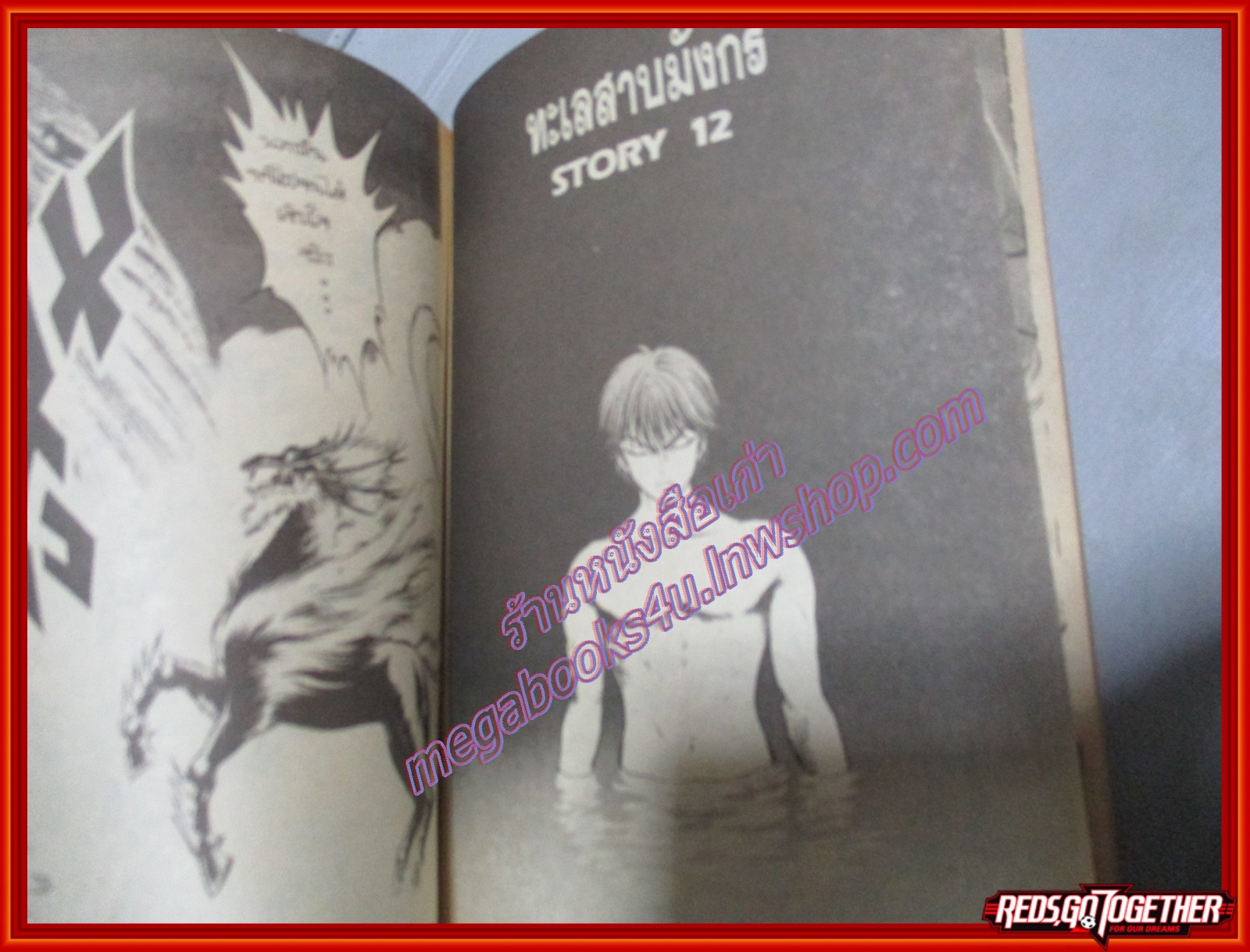 การ์ตูนบ้าน เทพปิศาจมังกร NAGAS เล่ม02 สนพ.อนิเมท สภาพดี