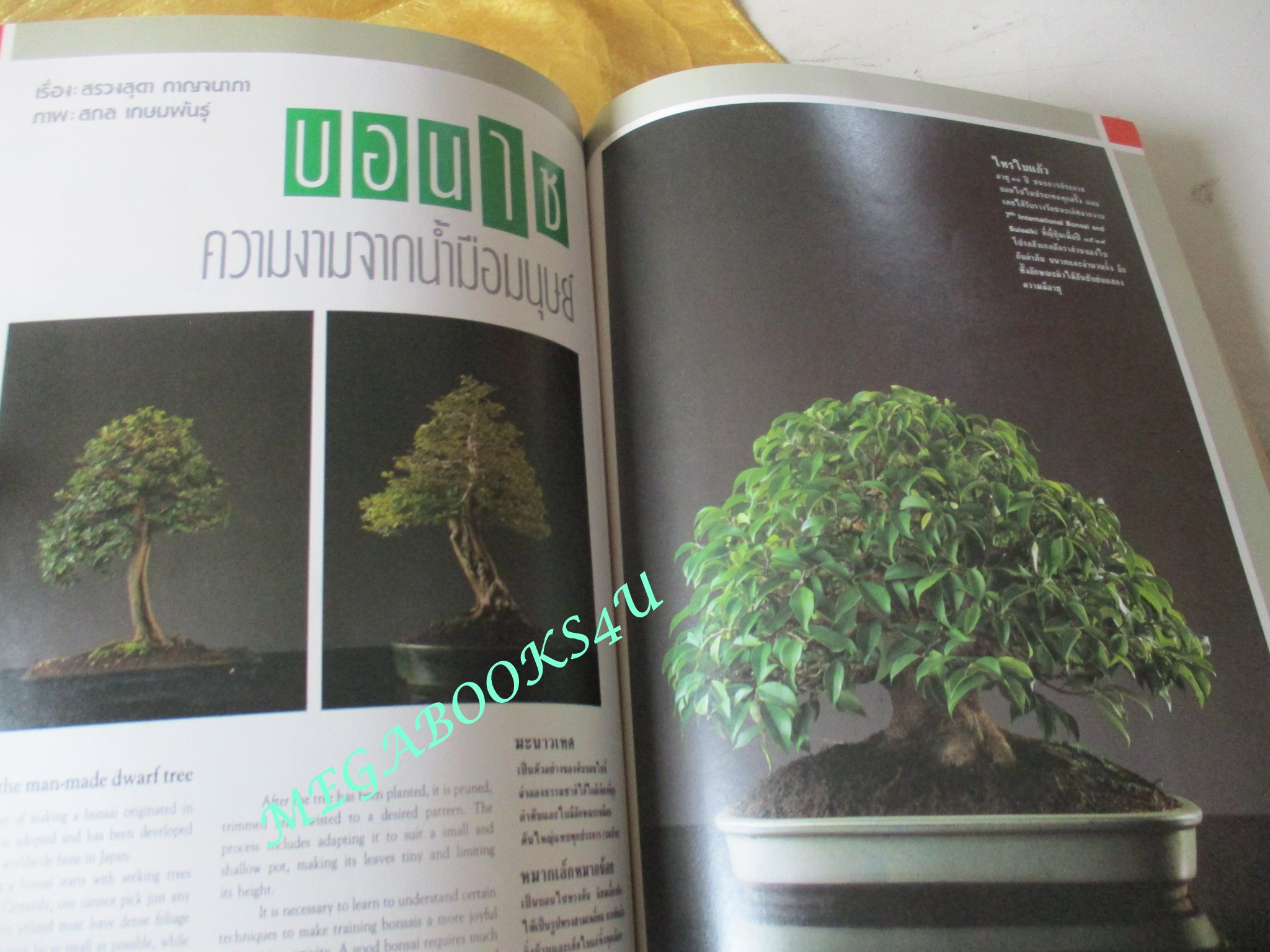 นิตยสารสารคดี ฉบับที่056 ตุลาคม 2532 UDT วีรบุรุษใต้น้ำ นักทำลายใต้น้ำ แมงดาทะเล บอนไซ