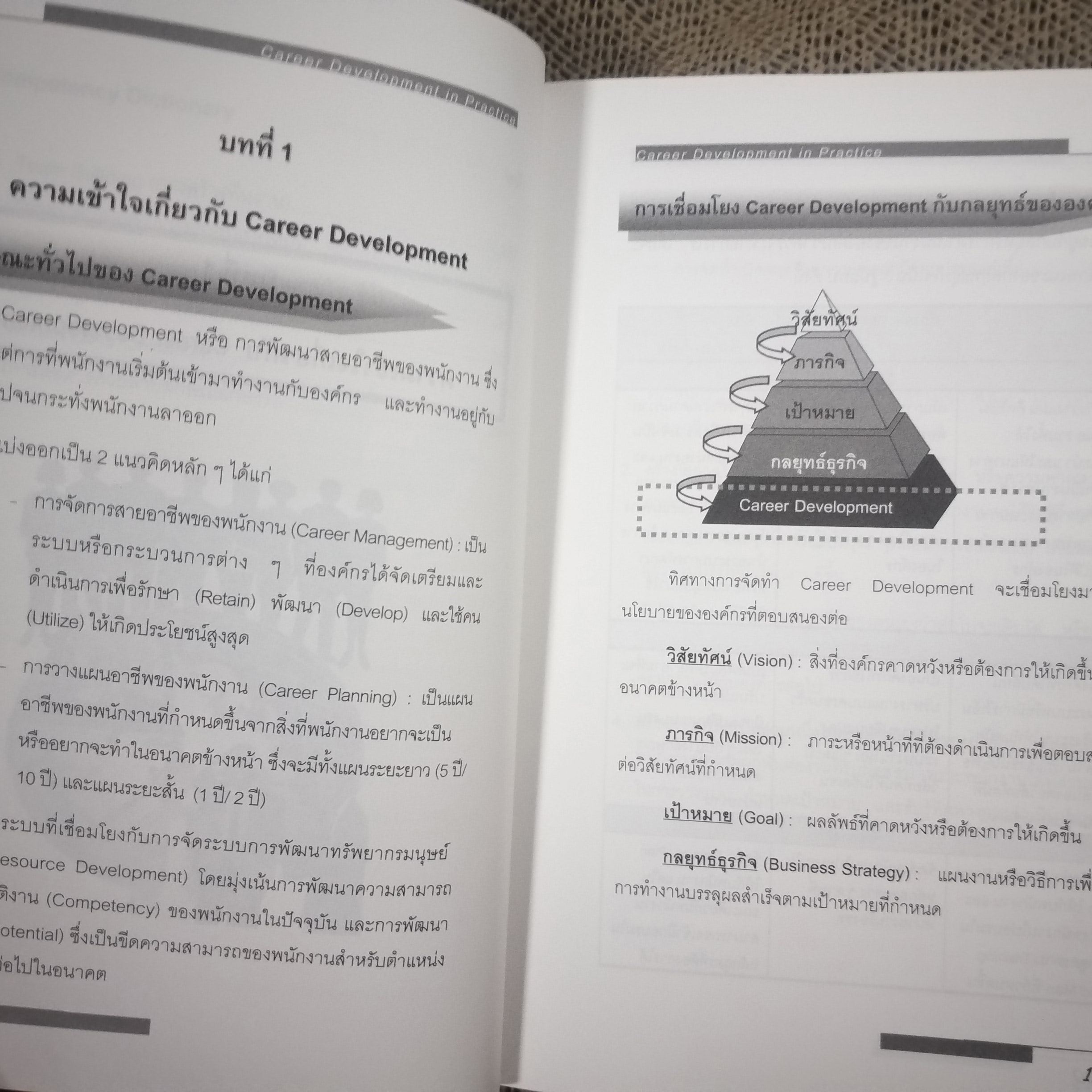 CAREER DEVELOPMENT IN PRACTICE / อาภรณ์ ภู่วิทยพันธุ์ / หนังสือที่รวบรวมแนวคิด วิธีการและตัวอย่างต่างๆ เกี่ยวกับการพัฒนาทรัพยากรมนุษย์ ในรูปแบบต่างๆ ไม่ว่าจะเป็น วิธีการขั้นตอนในการกำหนดความสามารถ / สภาพดี 90 %