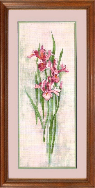 Dimensions ชุดปัก No Counted Cross Stitch Iris Trio