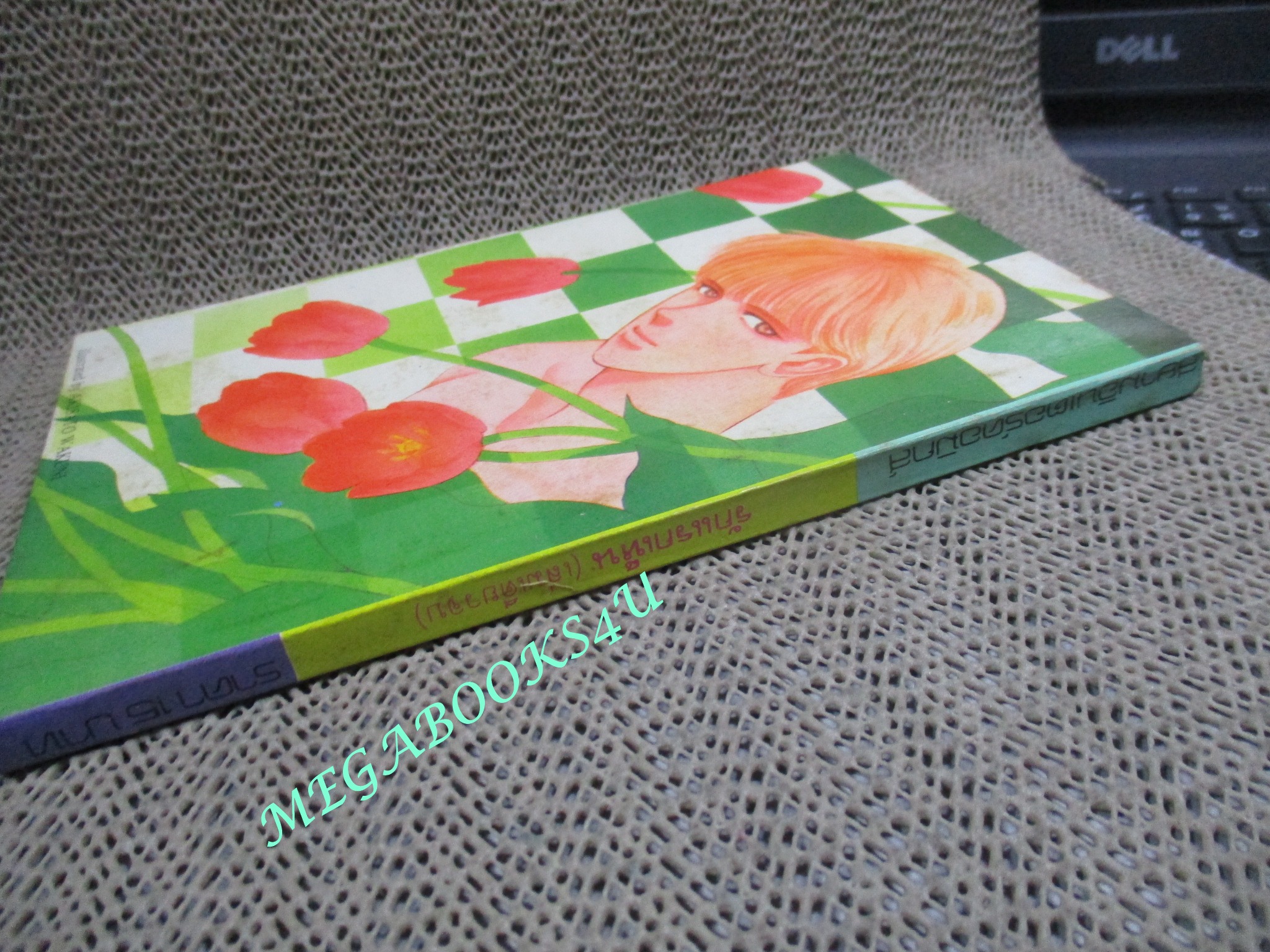 รักแรกเห็น /NAEMI SATOKO / เล่มเดียวจบ / สยามฯ /