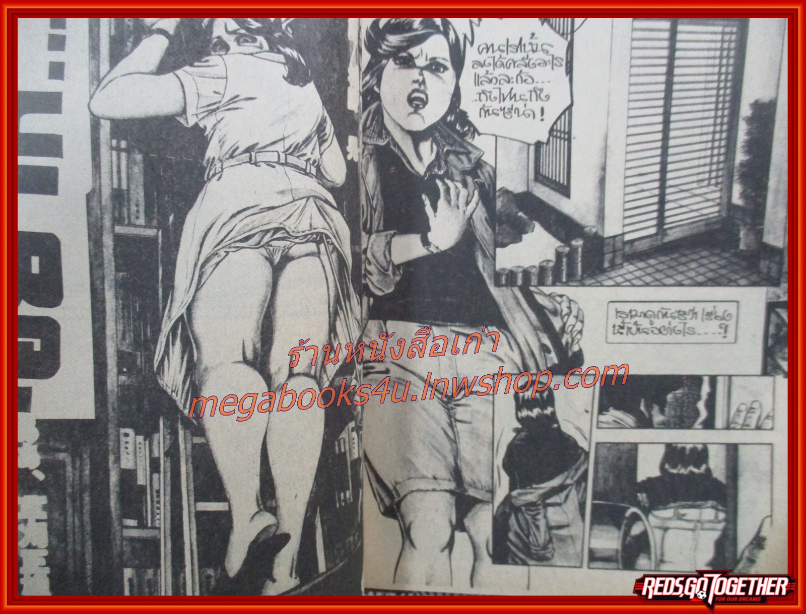 นิยายภาพผู้ใหญ่ การ์ตูนเพื่อหนุ่มหนุ่ม ฉบับพิเศษ