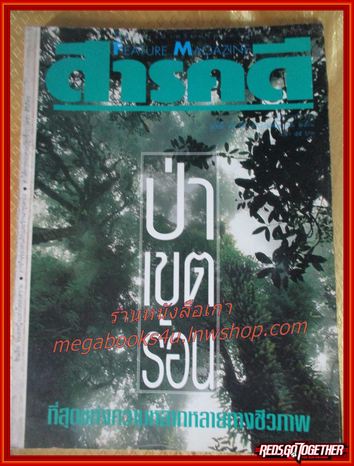 นิตยสารสารคดี ฉบับที่099 พฤษภาคม 2536 ปีที่9 ป่าเขตร้อน,หมอซินเธีย,นกขุนทอง,เที่ยวขอนแก่น,
