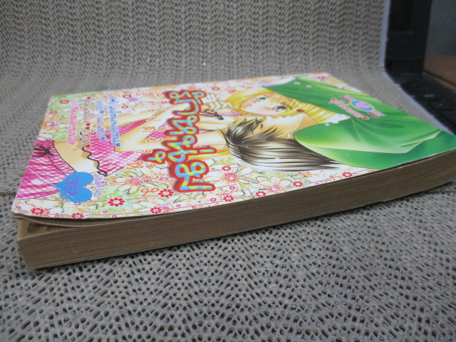 รักหนุ่ม หัวใจต้องห้าม เล่มเดียวจบ สนพ.หมึกจีน