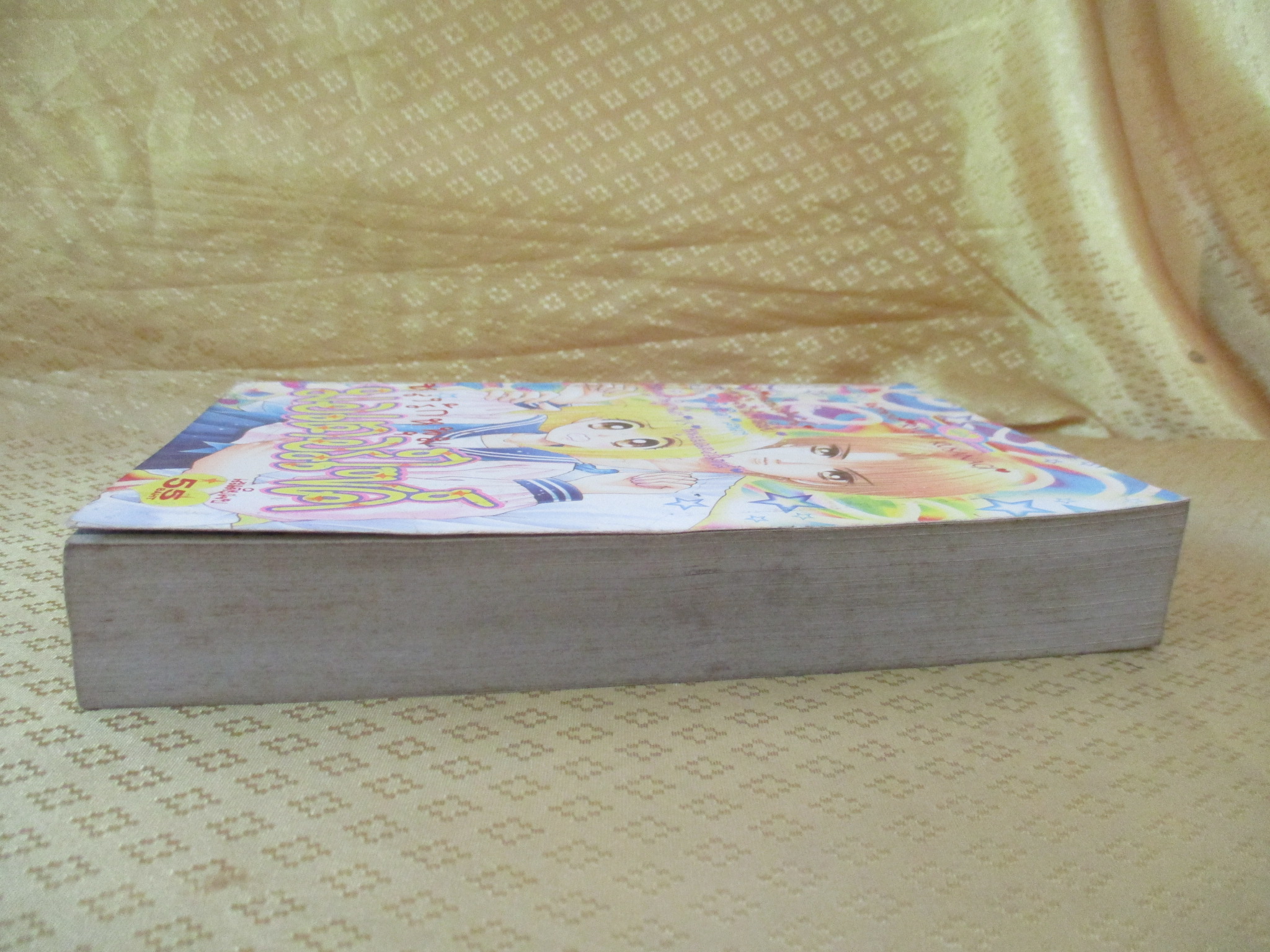 การ์ตูนบ้าน หลงรักหนุ่มมอเตอร์ไซค์ เล่มเดียวจบ สนพ.หมึกจีน