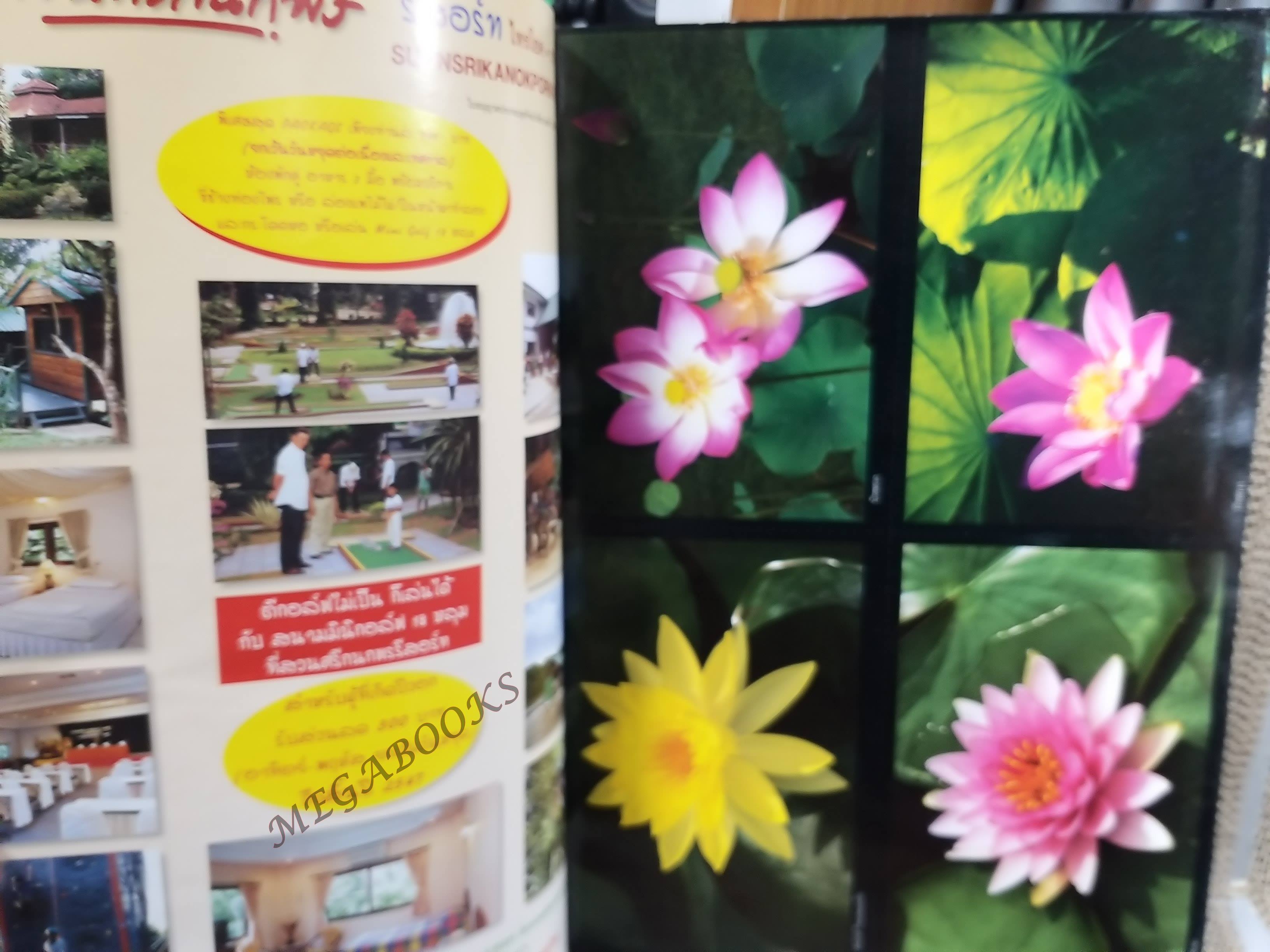 อนุสาร อ.ส.ท. ปี44 พ.ค.2547 นราธิวาส ทะเลน้อย / ปกถลอก