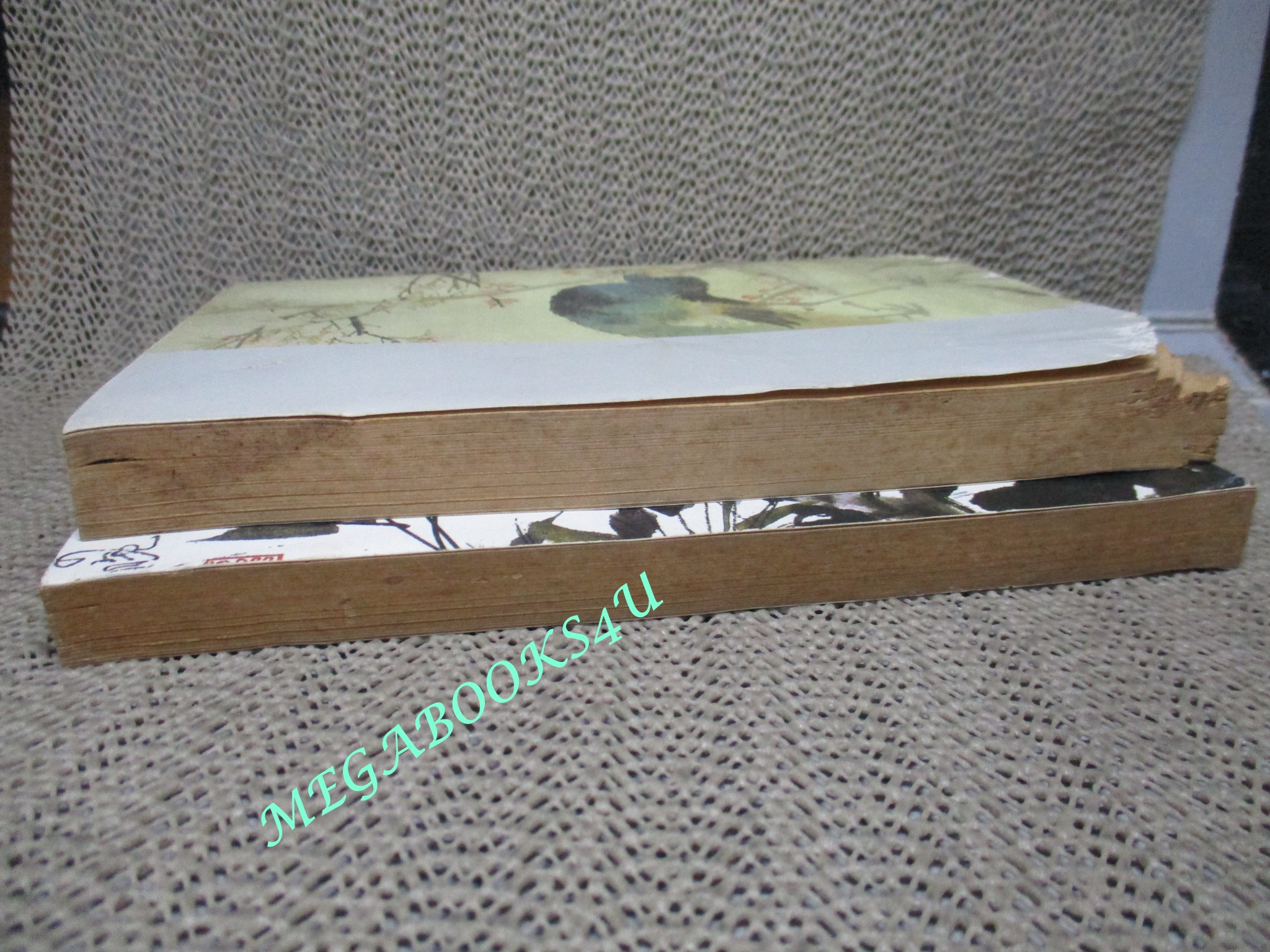 ขอบฟ้าจันทราดาบ ครบชุด2เล่มจบ / น.นพรัตน์ / สนพ.สยามฯ (นิยายจีนกำลังภายใน) สภาพพอใช้ เล่ม2 ตัวหนังสือมีรอยแหว่งตามรูป