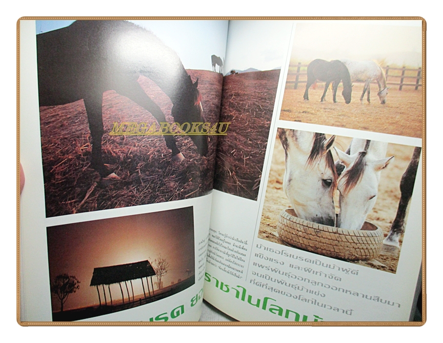 นิตยสารสารคดี ฉบับที่087 ปีที่08 ปี2535 ม้าแข่ง, ดาวเทียมสื่อสาร, ลาวอพยพ, บุรีรัมย์,