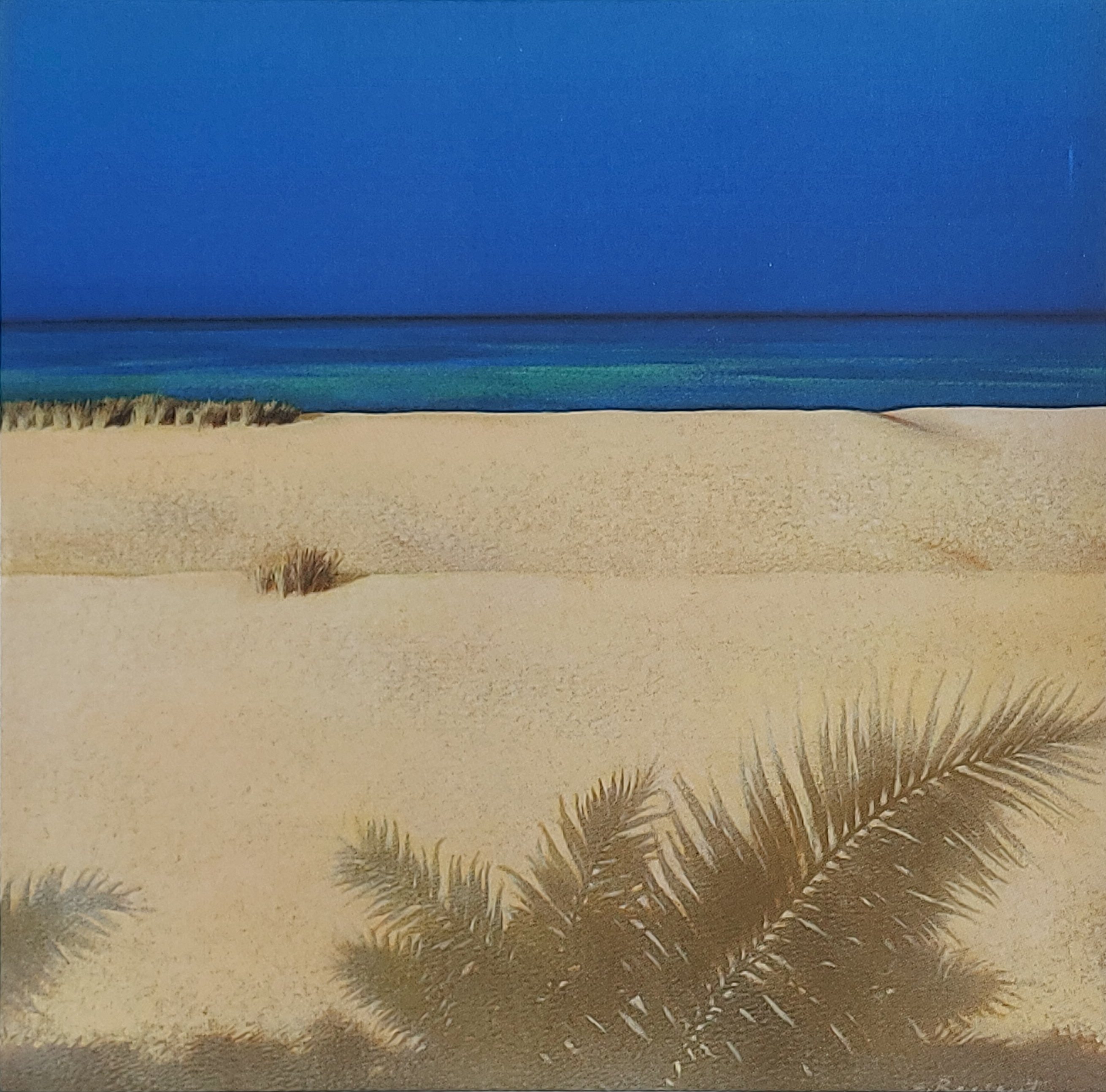 Used CD,Paul Brown & Friends(Boney James,David Benoit,Al Jarreau)- White Sand (A)(Guitar)(Jazz)(instrumental)2007(USA)