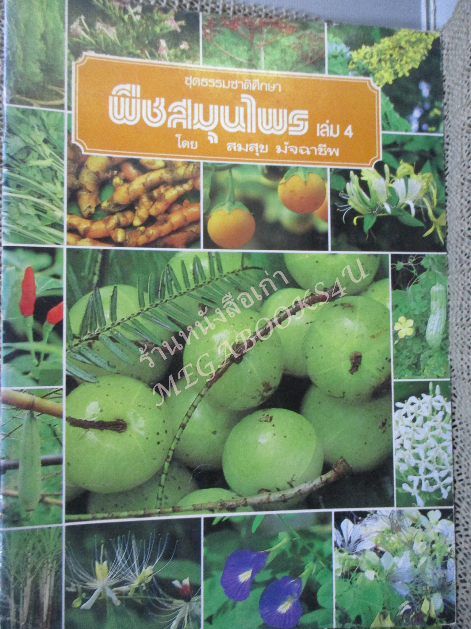 ธรรมชาติศึกษาชุด พืชสมุนไพร เล่ม 1-4 / พืชมีพิษ 1 เล่ม ทั้งหมด 5 เล่ม - สมสุข มัจฉาชีพ