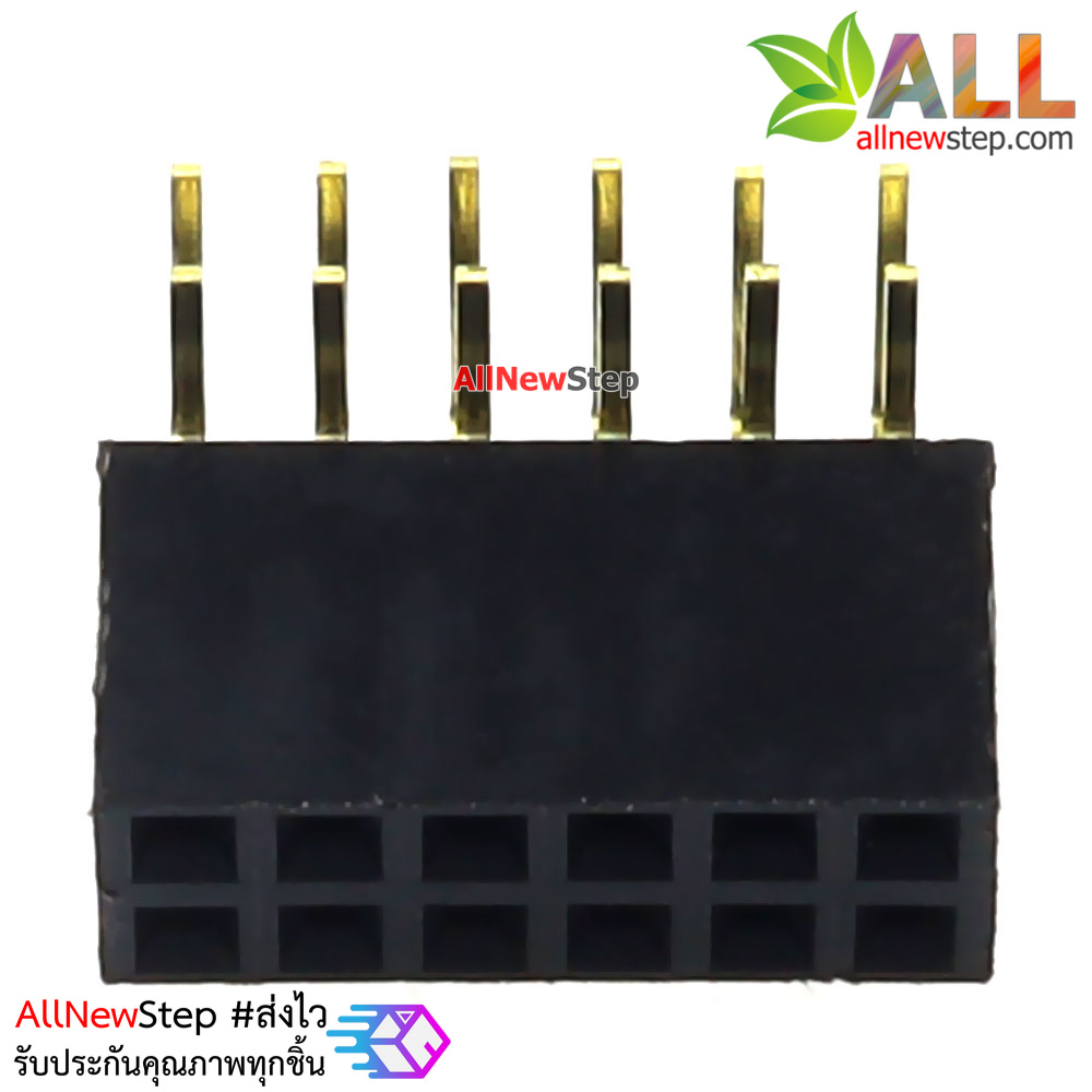 ขาก้างปลาตัวเมียแบบฉาก 2x6 ขา Double Row Hole Jack 2x6 PIN Header 2.54mm