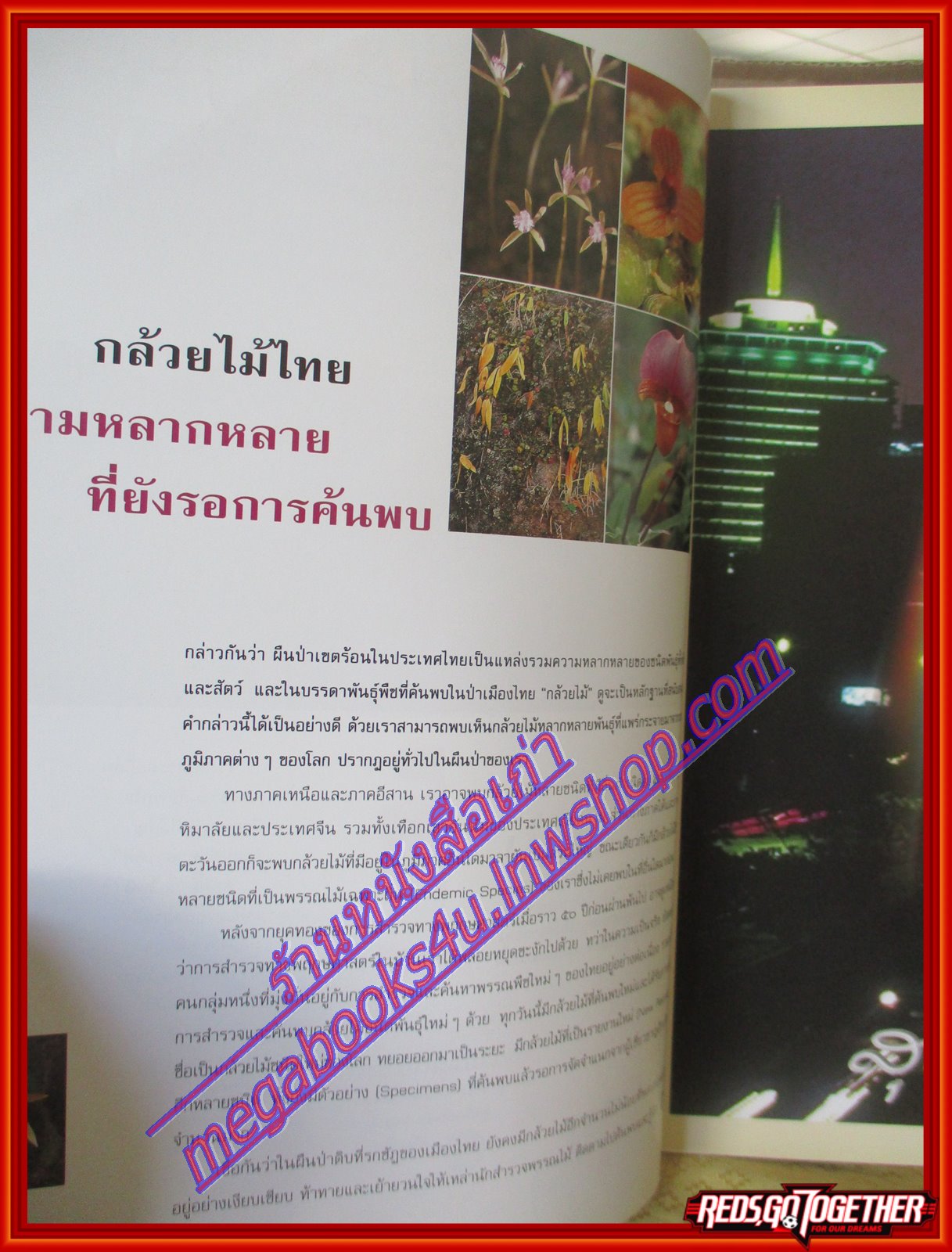 นิตยสารสารคดี ฉบับที่170 เมษายน 2542 โลกมหัศจรรย์แห่งกล้วยไม้ไทย,ของเล่นพื้นบ้าน,เที่ยวลพบุรี,