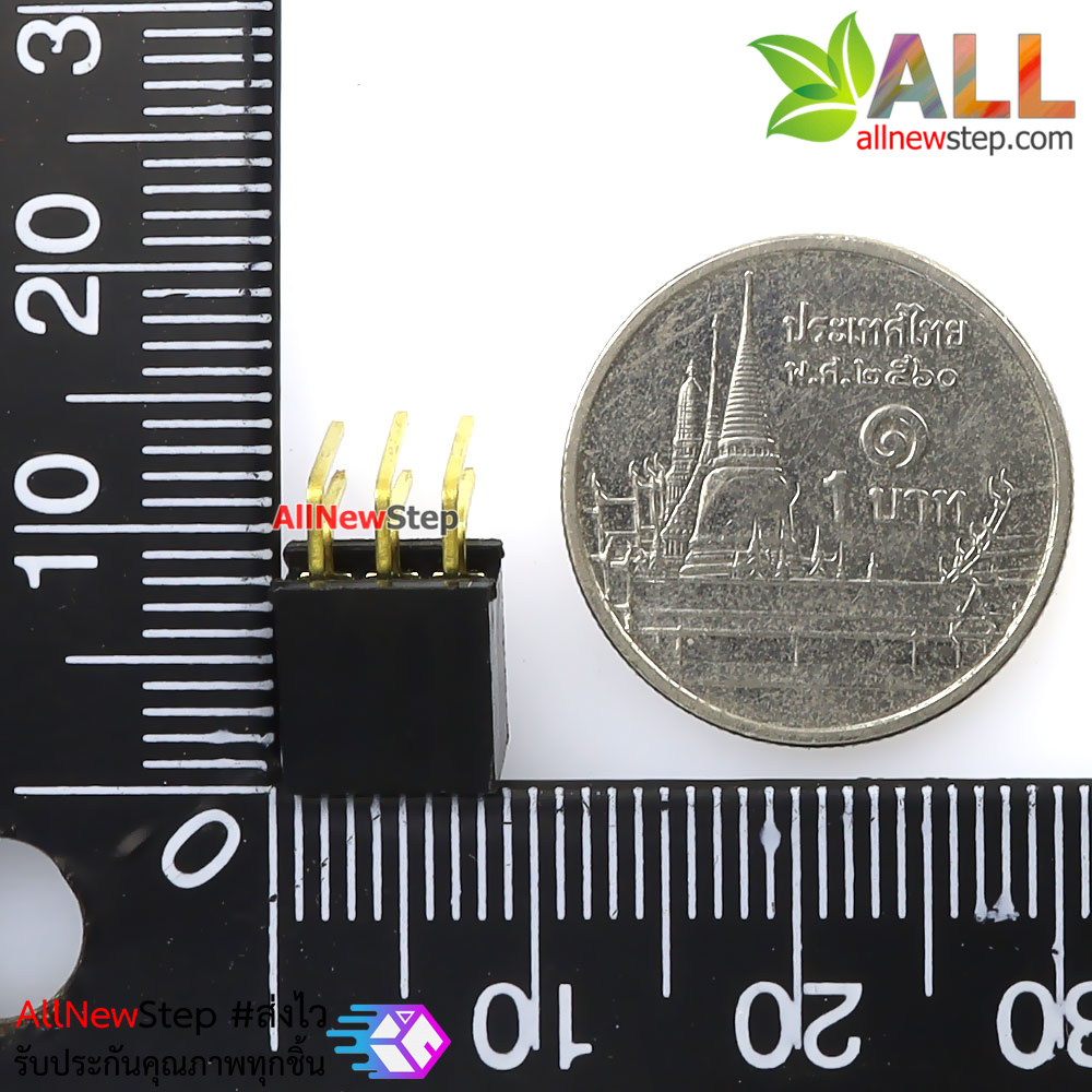 ขาก้างปลาตัวเมียแบบฉาก 2x3 ขา Double Row Hole Jack 2x3 PIN Header 2.54mm