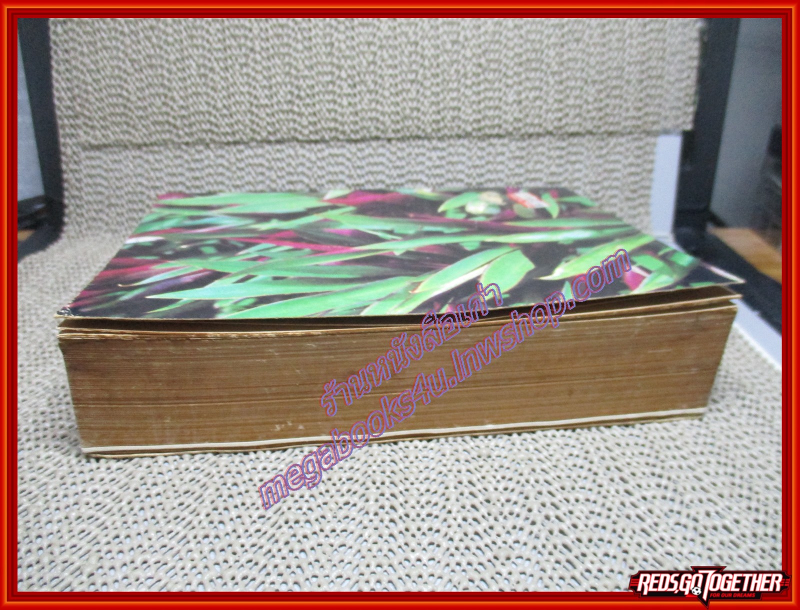 หลักการใช้ยาสมุนไพรรักษาโรคต่างฯ เปรียบเทียบกับการใช้ยาแผนปัจจุบัน รักษาโรคเหล่านั้น ตามหลัการศึกษายาสมุนไพร ผู้เขียน พ.ต.อ.ชลอ อุทกภาชน์ (หนังสือบ้าน มือสอง) (สภาพ85-95%)