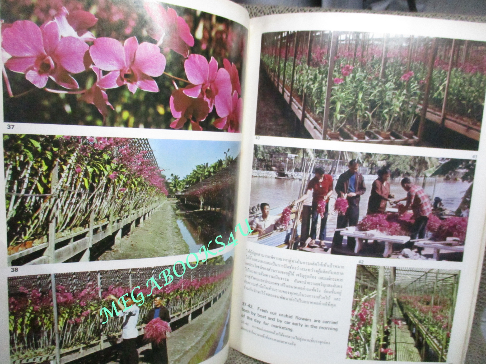 กล้วยไม้กับเมืองไทย โดย ศาสตราจารย์ ระพี สาคริก การประชุมกล้วยไม้โลก ครั้งที่ 9