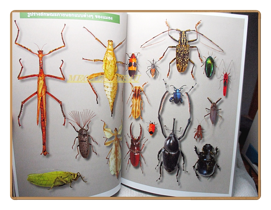 สารานุกรมไทยสำหรับเยาวชนฉบับเสริมการเรียนรู้ เล่ม17 โดยพระราชประสงค์ในพระบาทสมเด็จพระเจ้าอยู่หัว