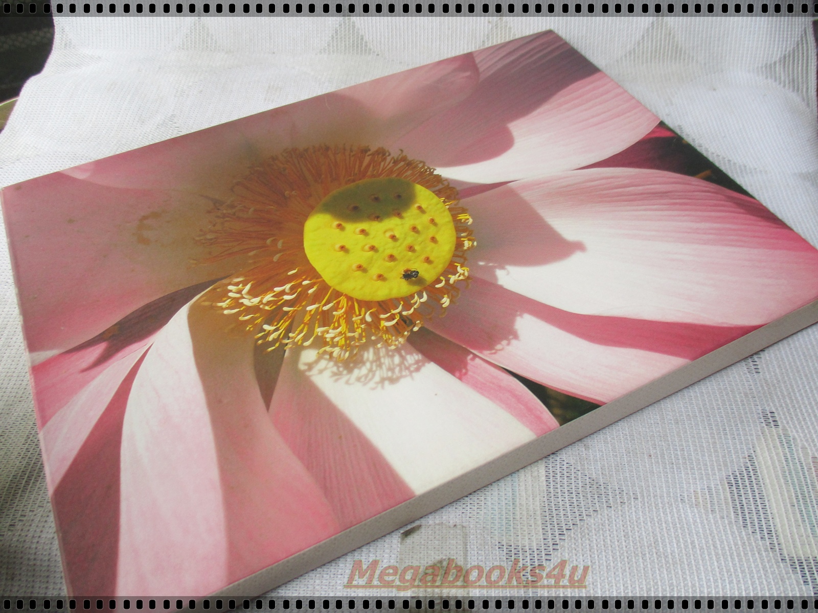 ในร่มเงาวังสระปทุม (ปกแข็งพร้อมกล่อง) ภาพถ่ายฝีพระหัตถ์สมเด็จพระเทพรัตนราชสุดาฯ สยามบรมราชกุมารี