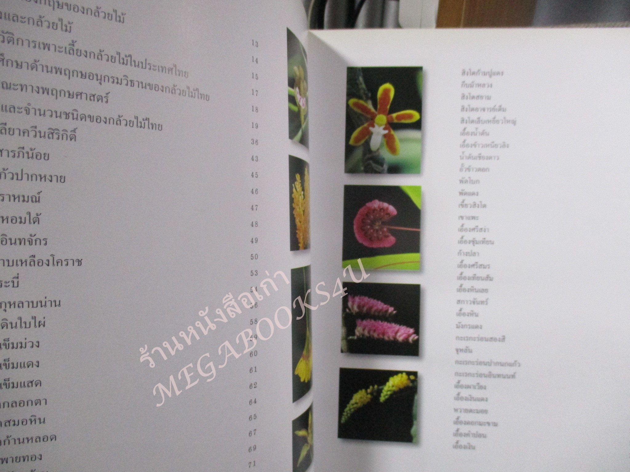 กล้วยไม้ไทย เล่ม 6 สวนพฤกษศาสตร์สมเด็จพระนางเจ้าสิริกิติ์ (ปกแข็ง กระดาษมัน) สภาพดี สวย