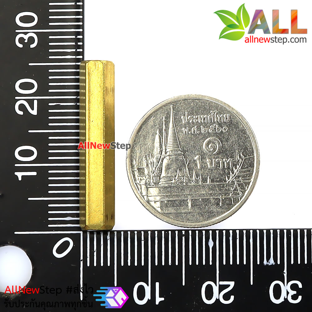 น็อต m2.5 ขนาด 25mm