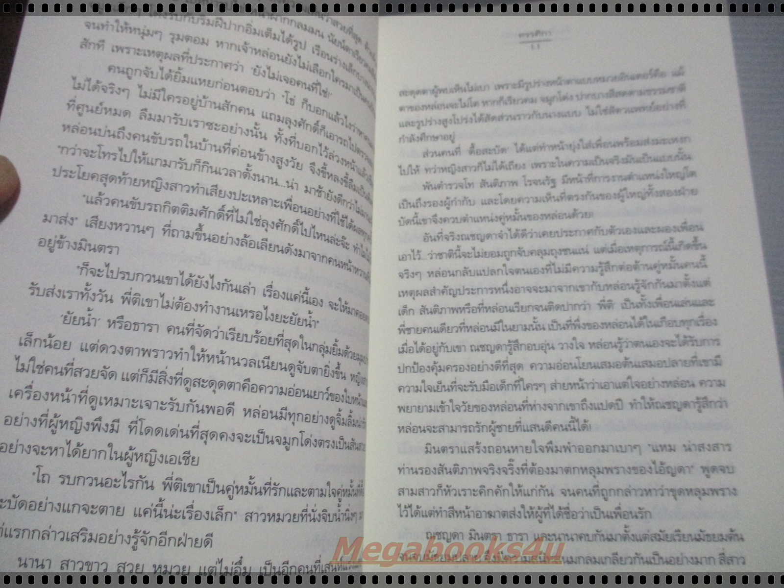 สืบลับ...สะดุดรัก โดย ทรรศิกา