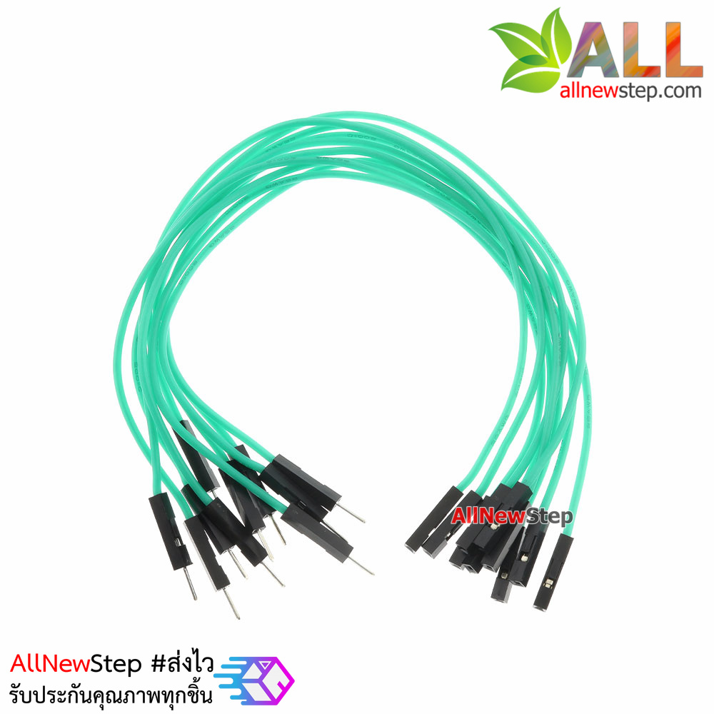 สายไฟจัมเปอร์ 20cm สาย jumper 20 cm จำนวน 10 เส้น ผู้-เมีย สีเขียว