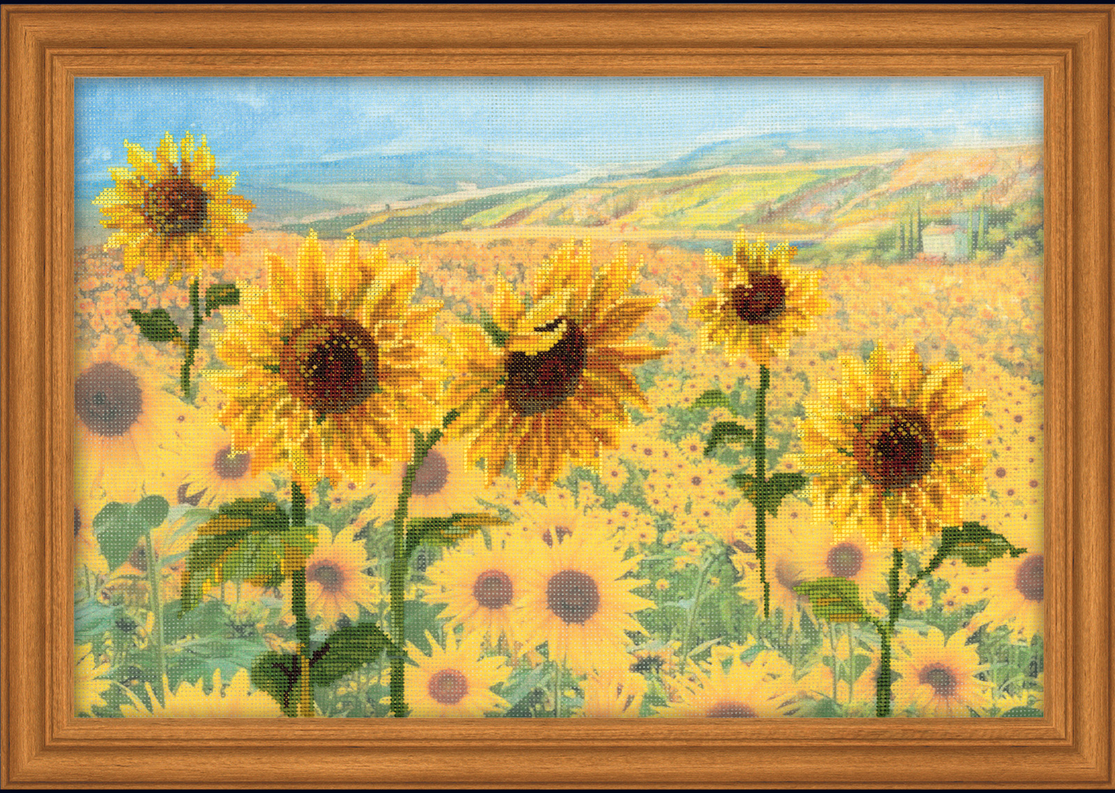 Riolis Field of Sunflowers