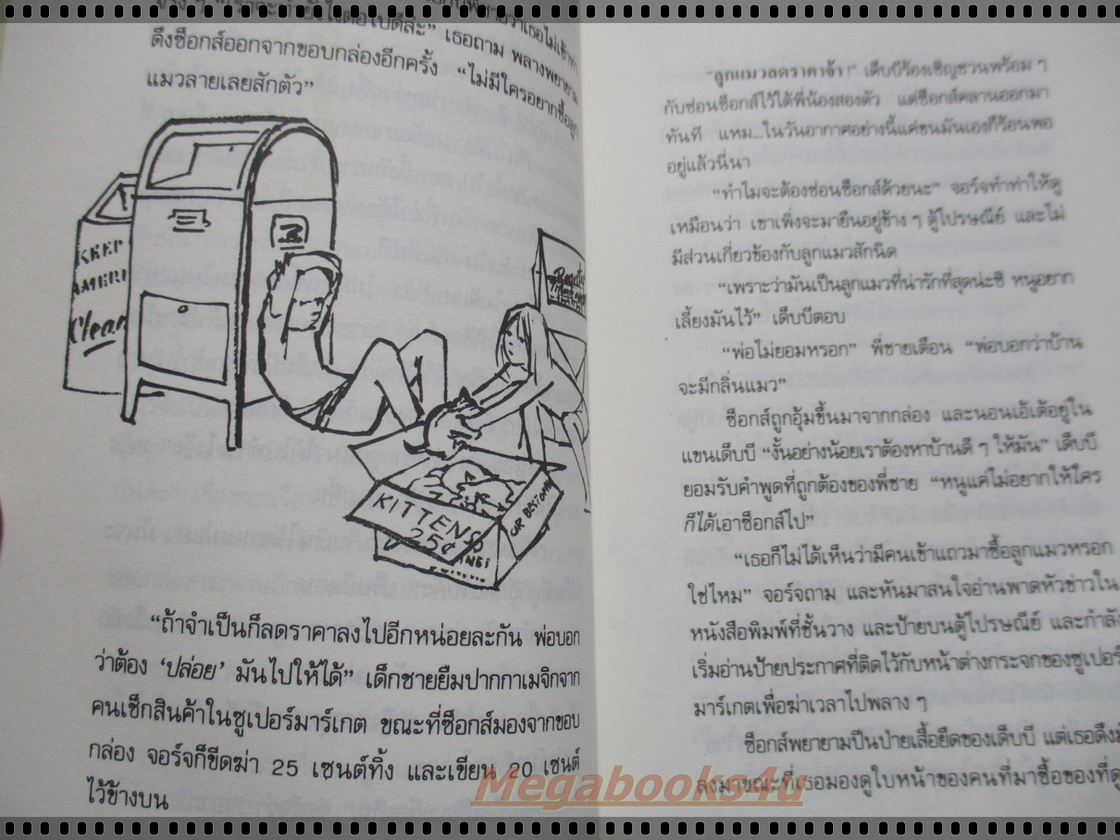 ซ็อกส์ ลูกแมวขี้งอน SOCKS