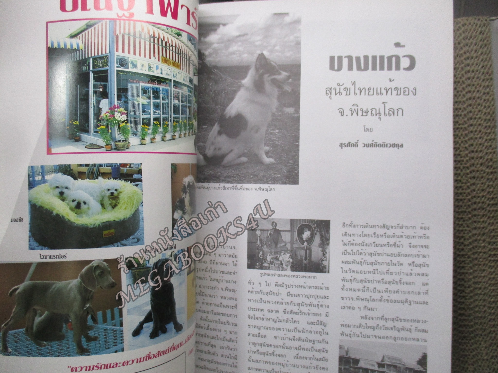 นิตยสาร ธรรมชาติและสัตว์เลี้ยง ฉบับที่071 ปี2539 ปก สุนัขบางแก้ว