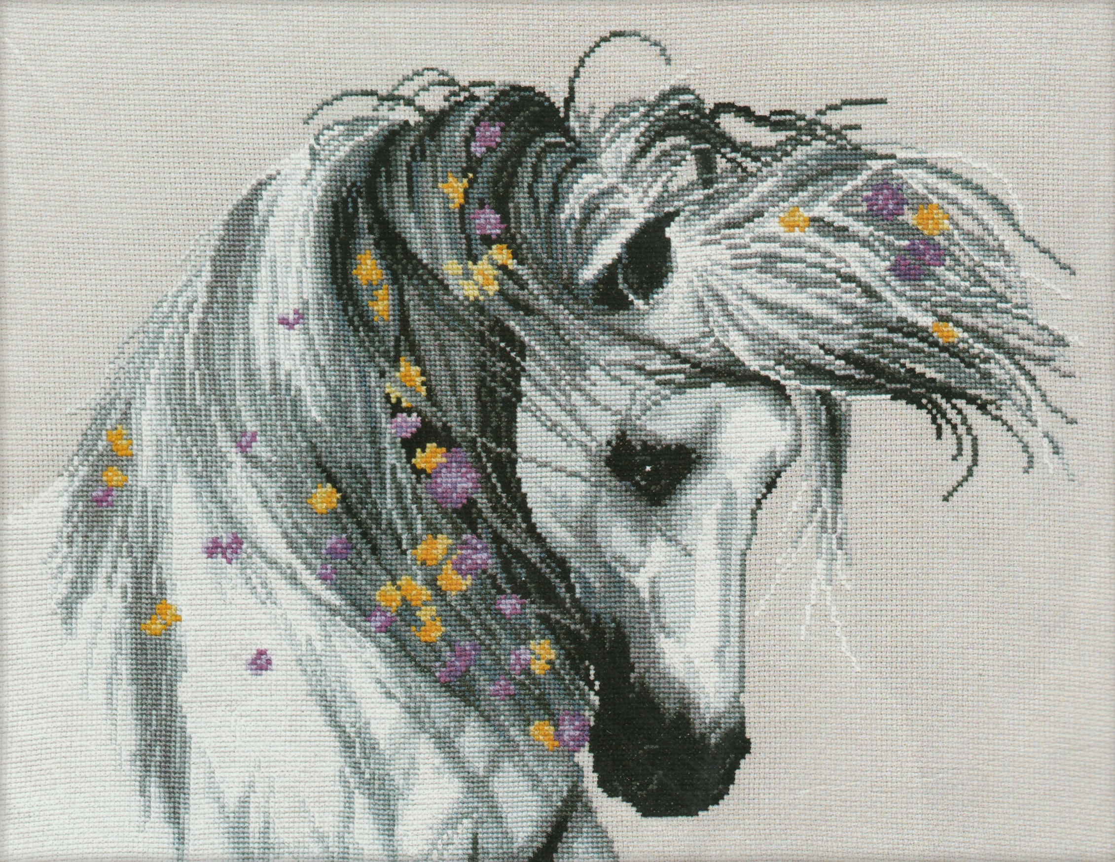 Oven ชุดปัก Playful Horse