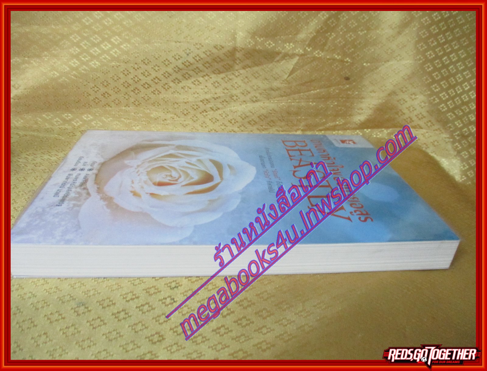 ตามหาหัวใจของนายอสูร (Beastly) โดย Alex Flinn (มือสอง) (สภาพ85-95%)