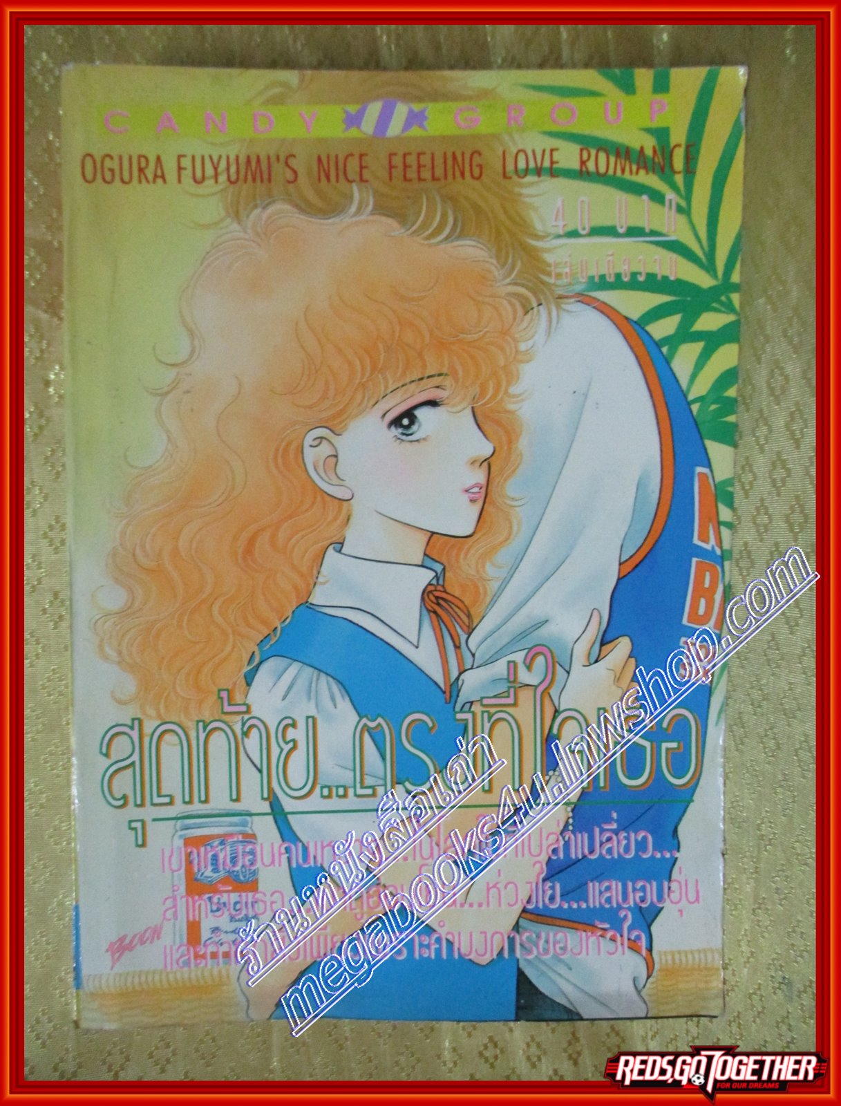 การ์ตูนบ้าน สุดท้ายตรงที่ใจเธอ โดย *** เล่มเดียวจบ สนพ.CANDY