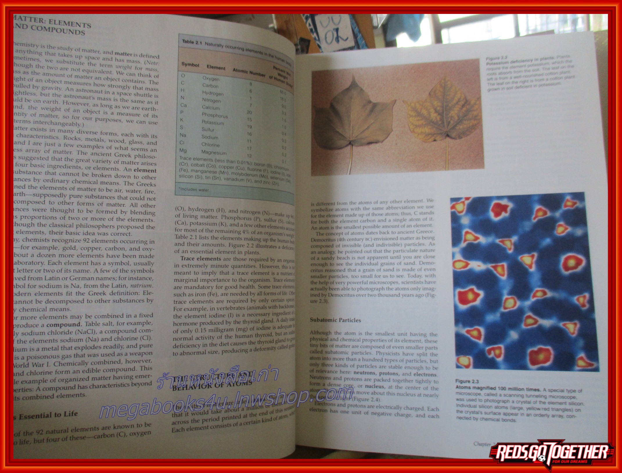 หนังสือชีวะ หนังสือชีววิทยา Biology Second Edition Campbell (ภาษาอังกฤษทั้งเล่ม)