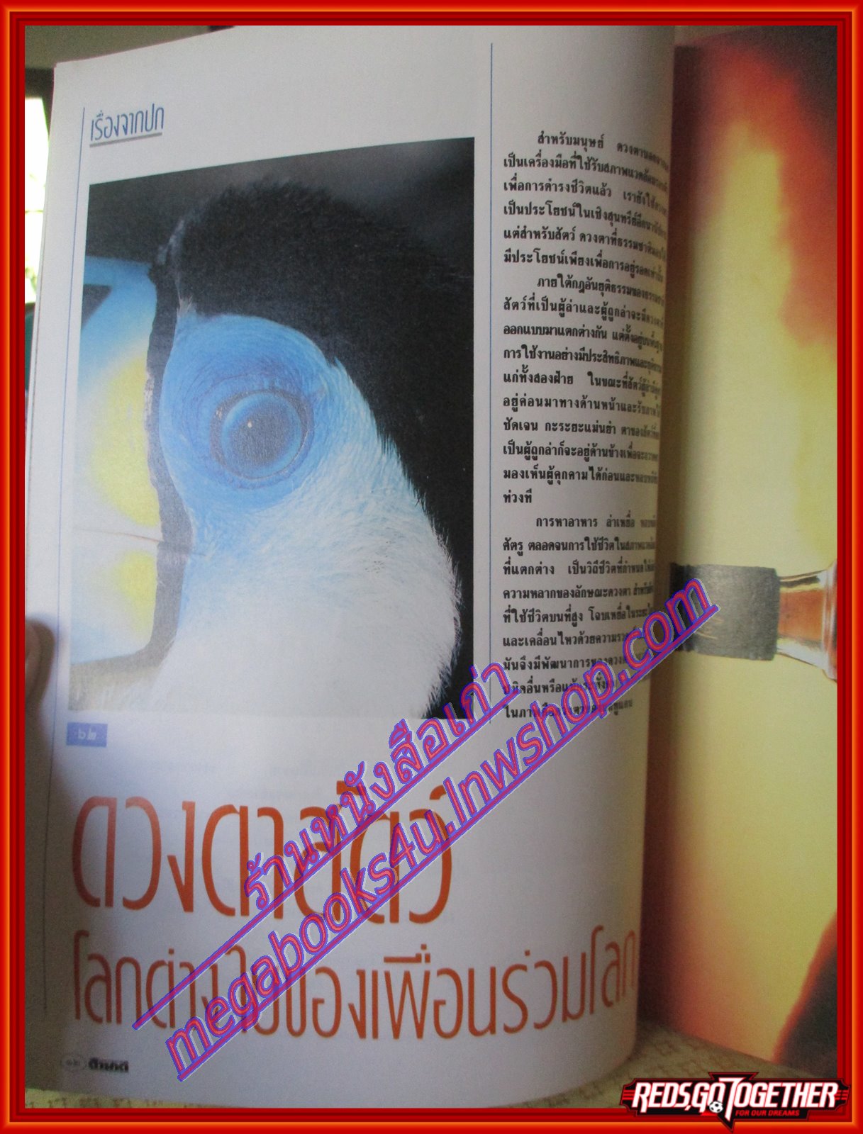 นิตยสารสารคดี ฉบับที่064 2533 ดวงตาสัตว์ เฟื้อ หริพิทักษ์ ตอน๑ สัมภาษณ์ พงษ์เทพ กระโดนชำนาญ วงคาราวานที่นครวัด