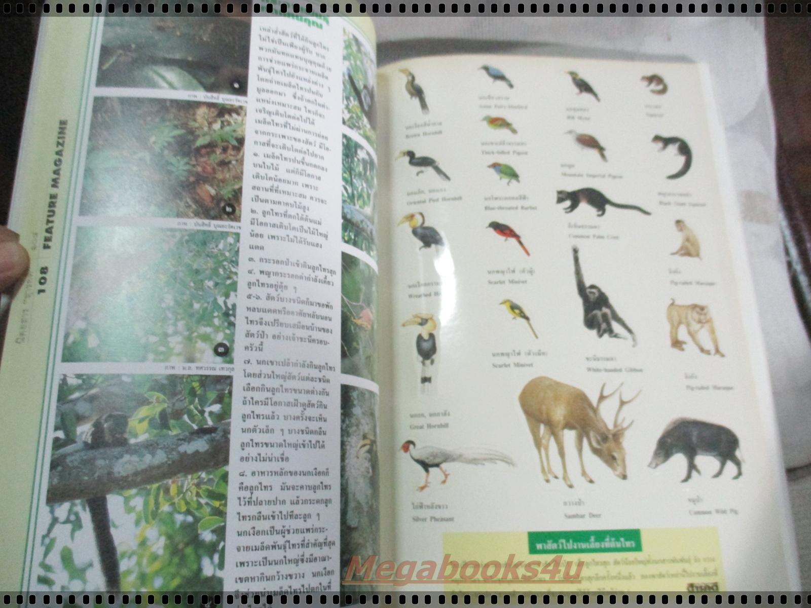 นิตยสารสารคดี ฉบับที่109 มีนาคม 2537 ไทร,มัลดีฟส์,หนังตะลุง,ตาก,