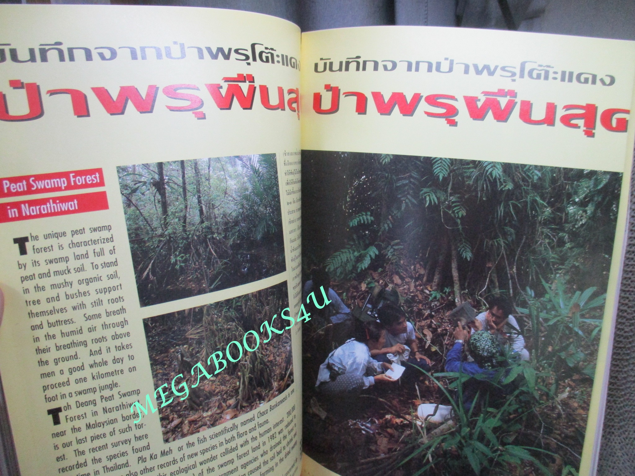 นิตยสารสารคดี ฉบับที่086 เมษายน 2535ดูด้วยกล้องจุลทรรศน์,ป่าพรุ,ภาพจิตรกรรมฝาผนัง,เที่ยวพังงา,