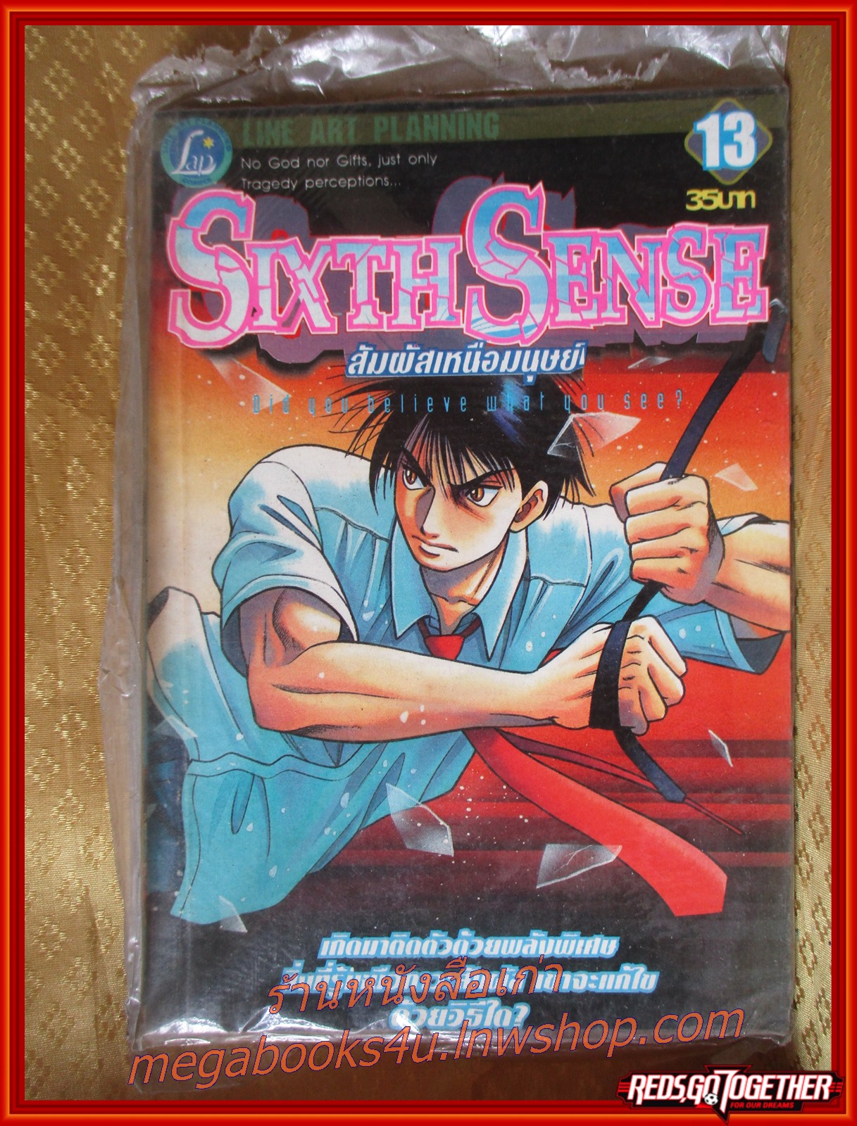 การ์ตูนบ้าน Sixth Sense สัมผัสเหนือมนุษย์ เล่ม 13 ในซีล