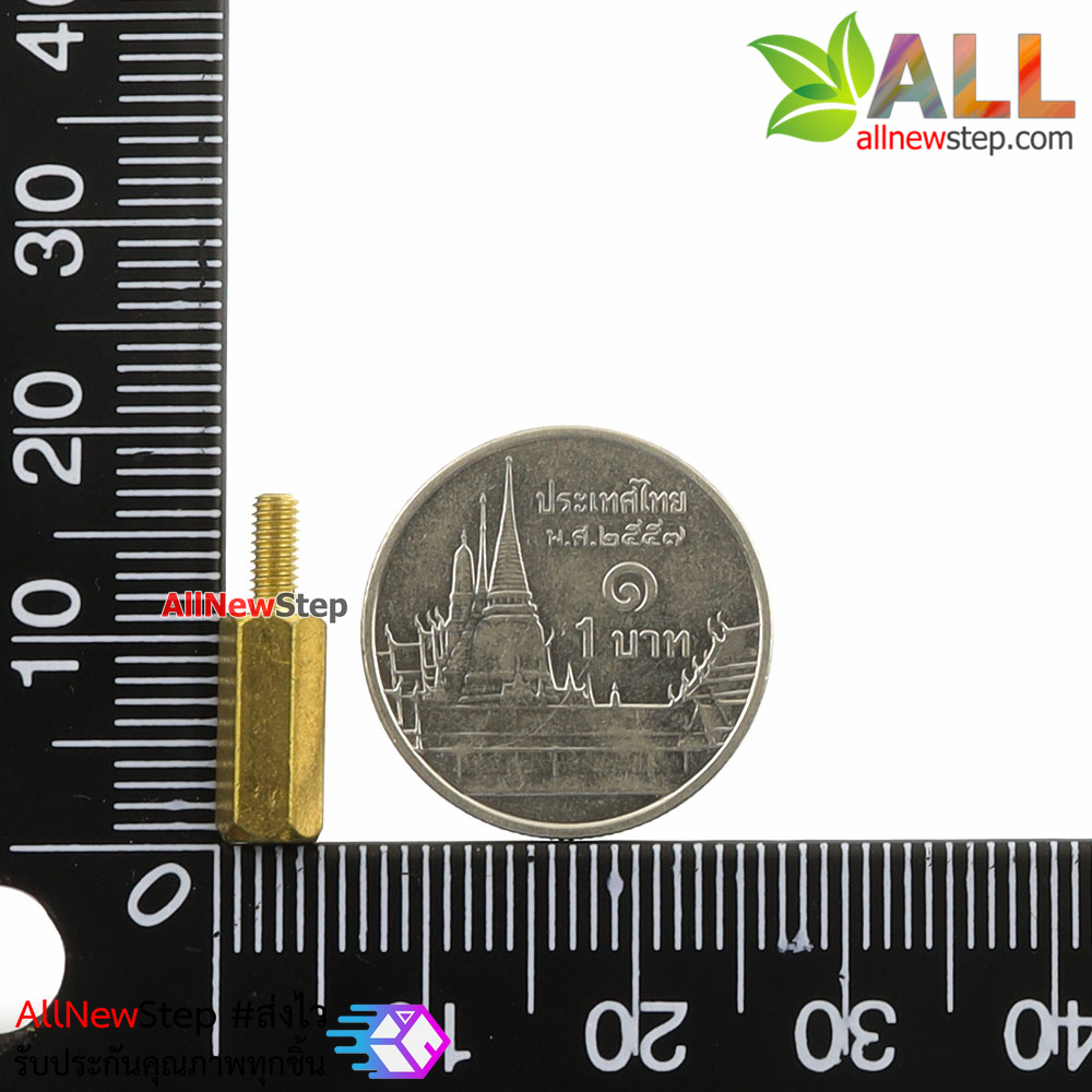 Nut screw m2.5 น็อตสกรู M2.5 ขนาด 11+6mm