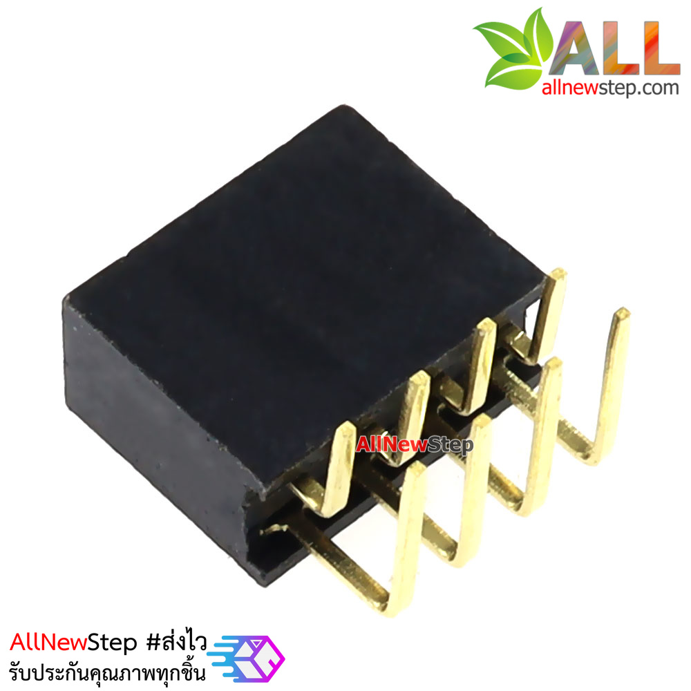 ขาก้างปลาตัวเมียแบบฉาก 2x4 ขา Double Row Hole Jack 2x4 PIN Header 2.54mm